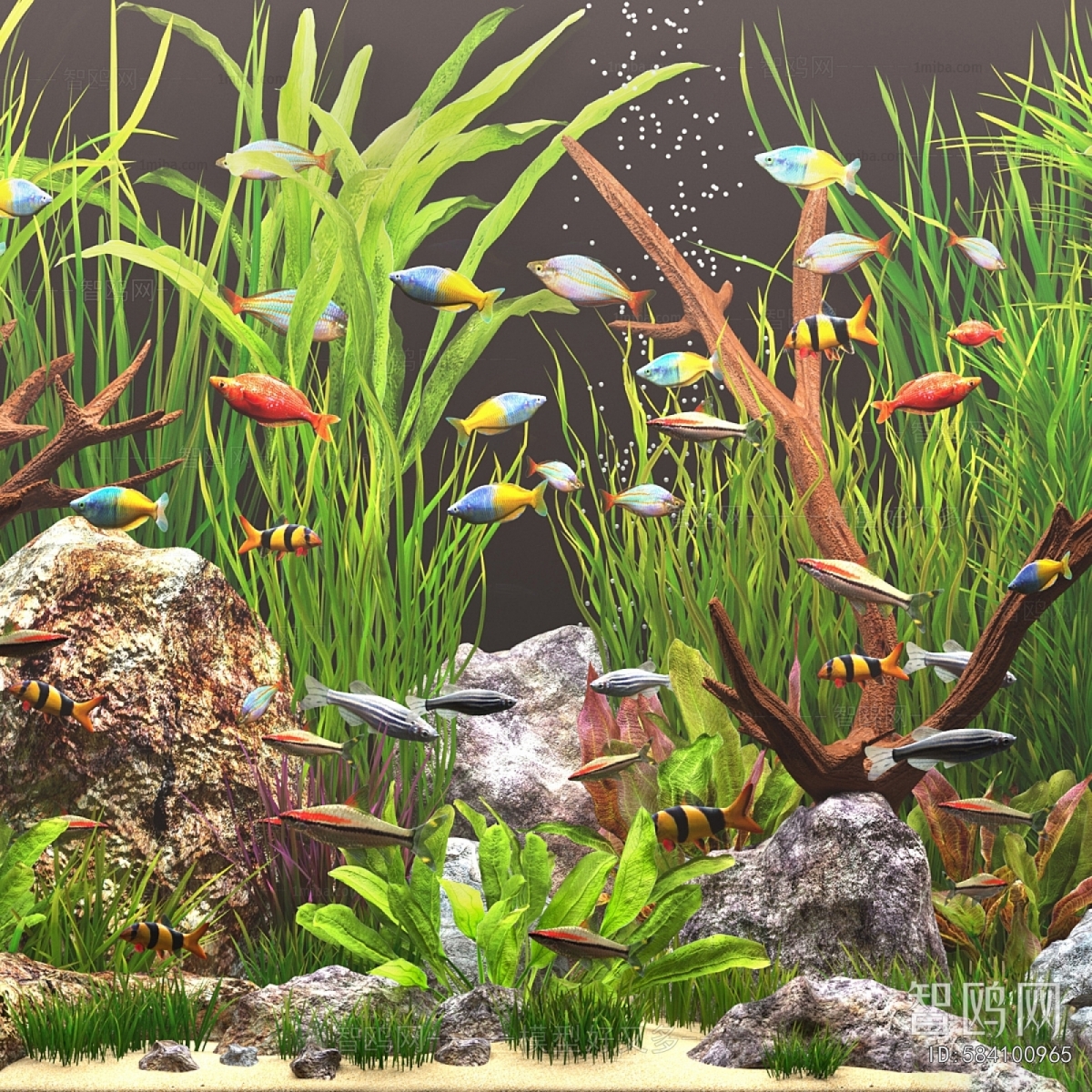 Modern Fish Tank