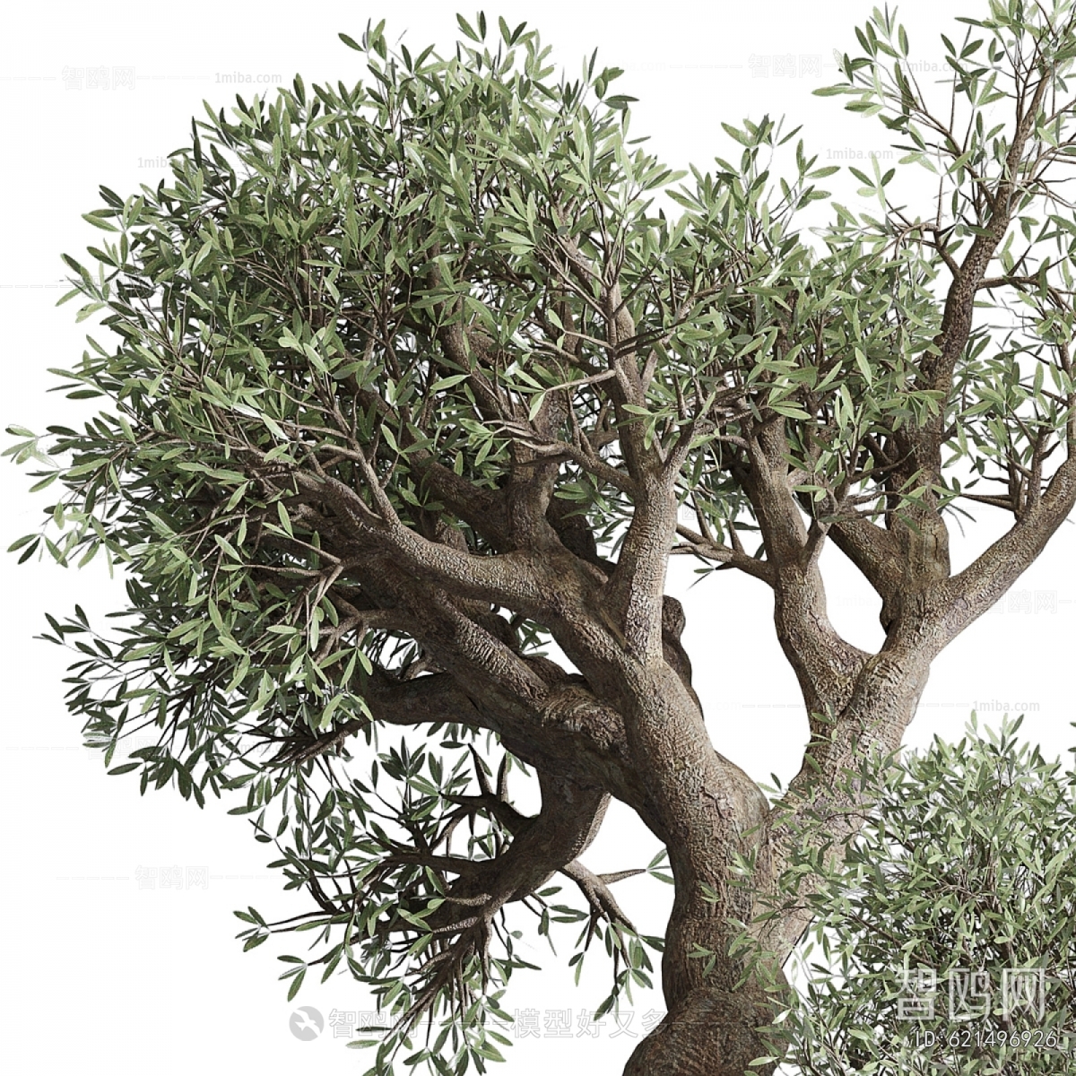 Modern Ground Green Plant Potted Plants