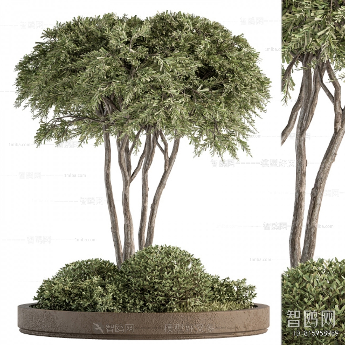 Modern Potted Green Plant