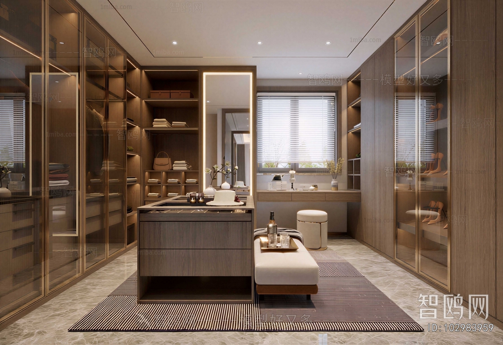 Modern Clothes Storage Area