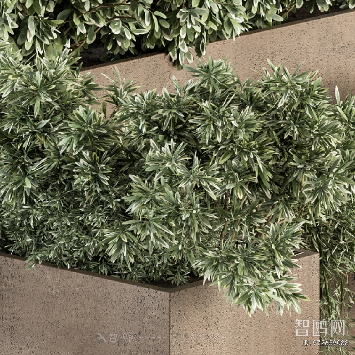 Modern Flower Bed, Flower Bowl, Flower Box