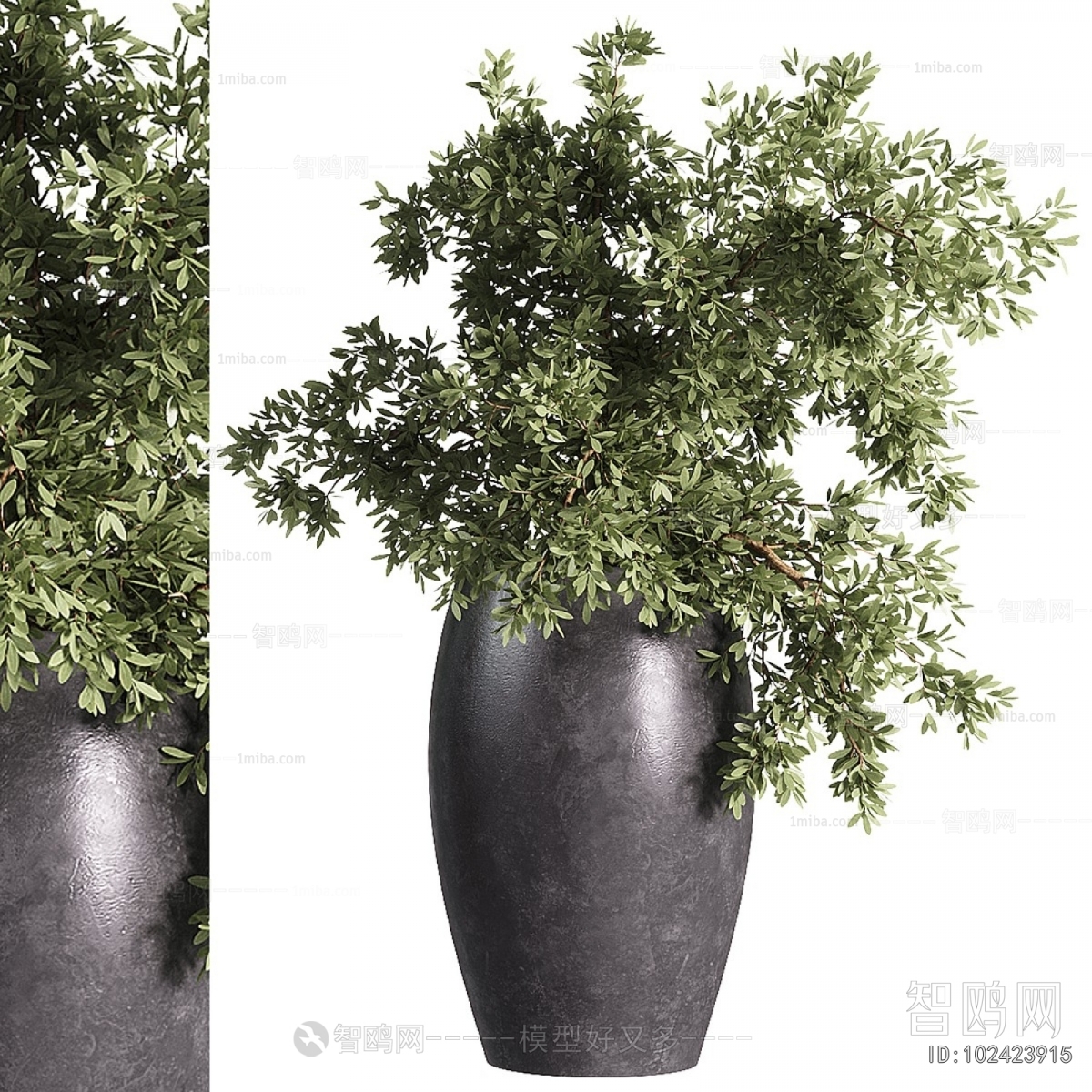 Modern Ground Green Plant Potted Plants