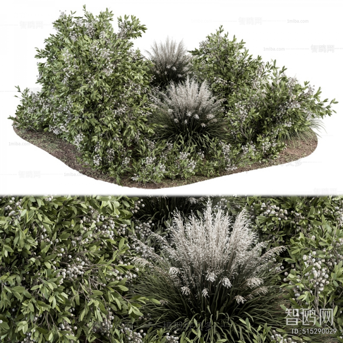 Modern Shrubbery