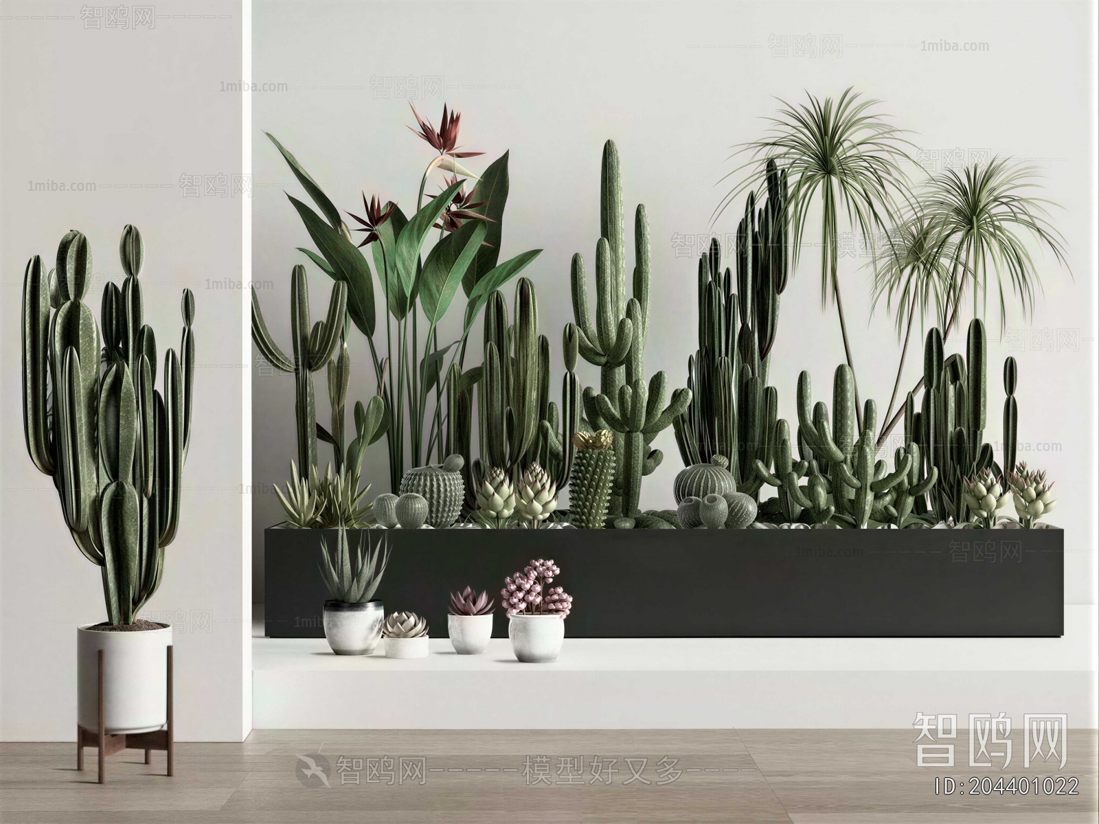 Modern Plant Landscaping