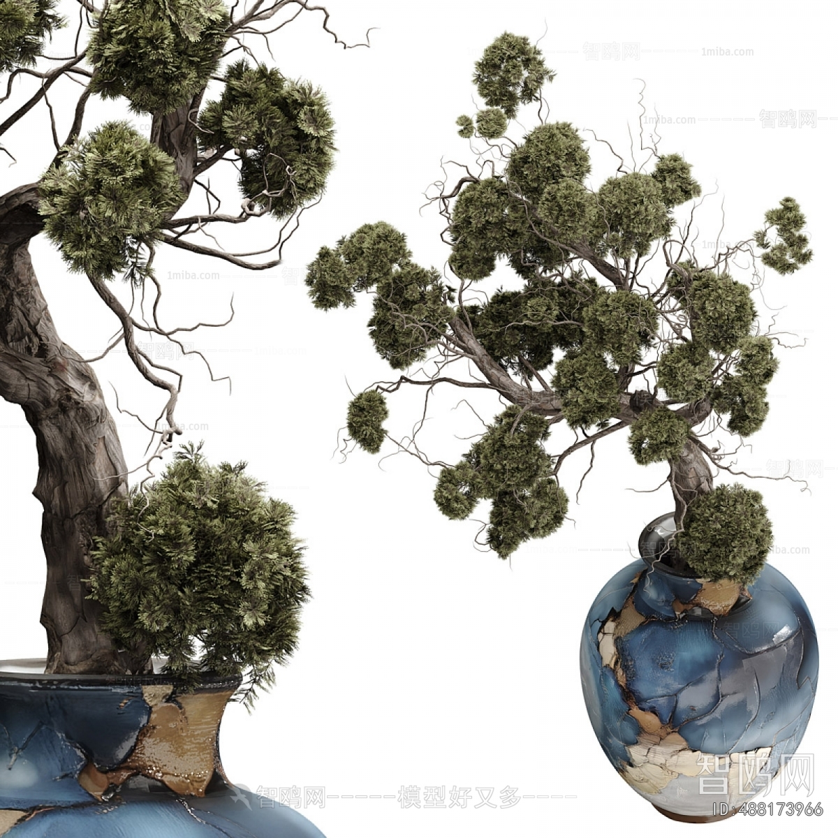 Wabi-sabi Style Potted Green Plant