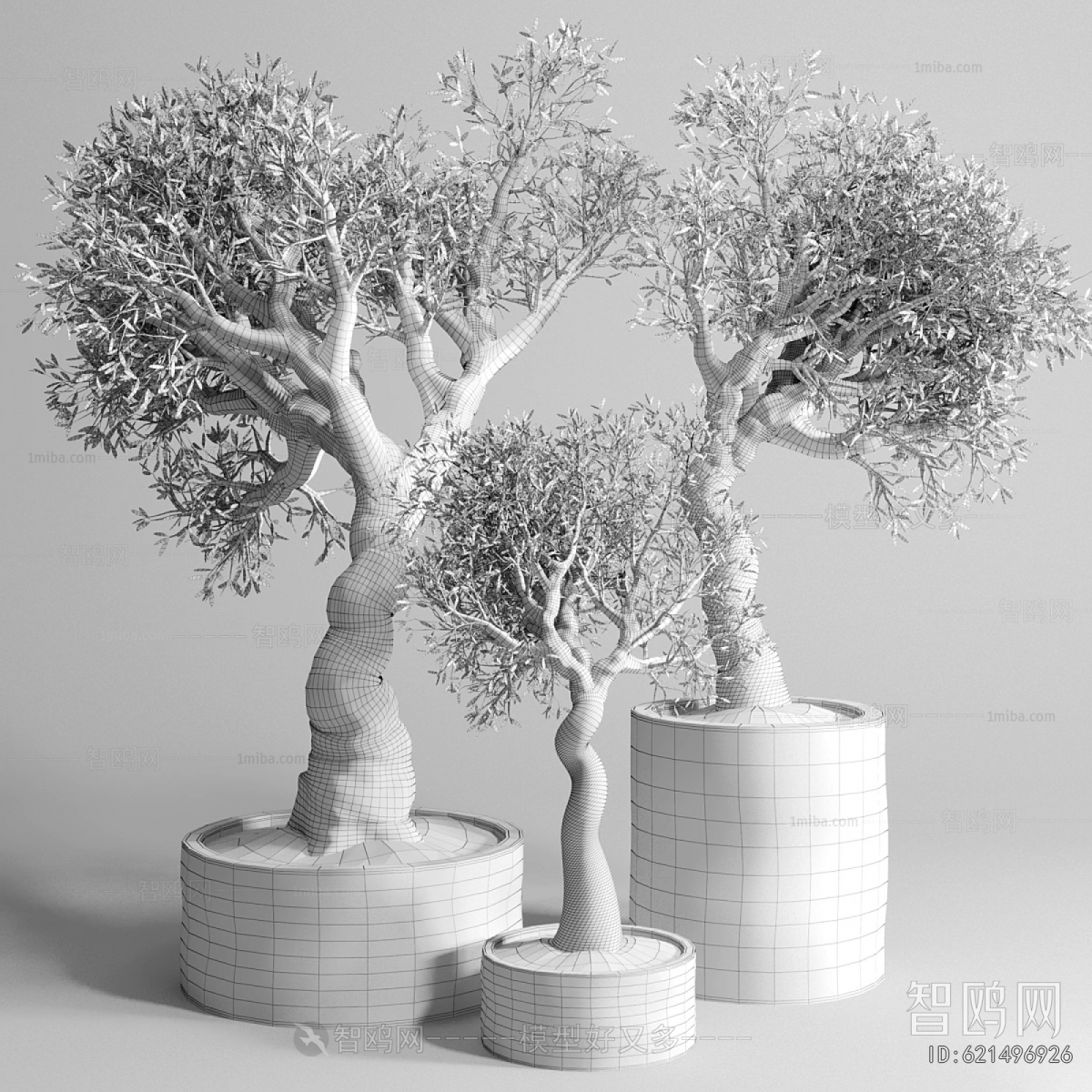 Modern Ground Green Plant Potted Plants