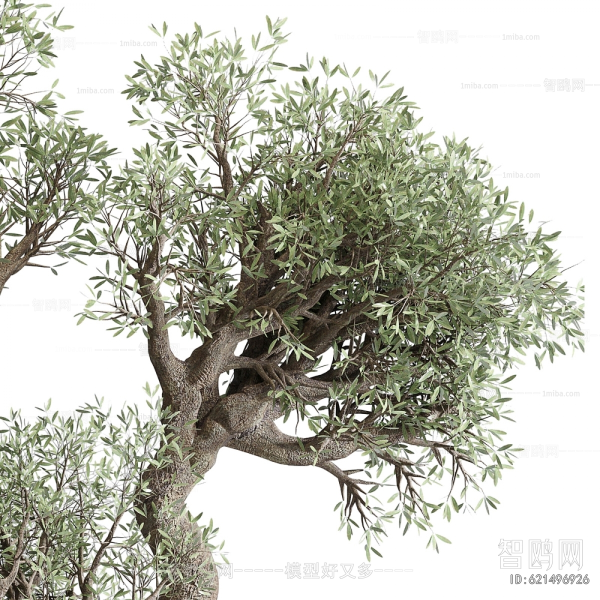 Modern Ground Green Plant Potted Plants