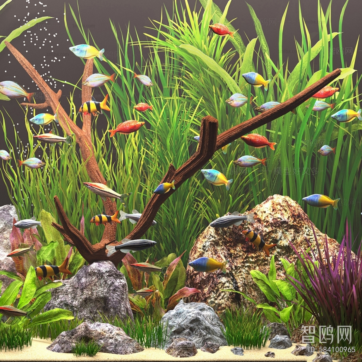 Modern Fish Tank