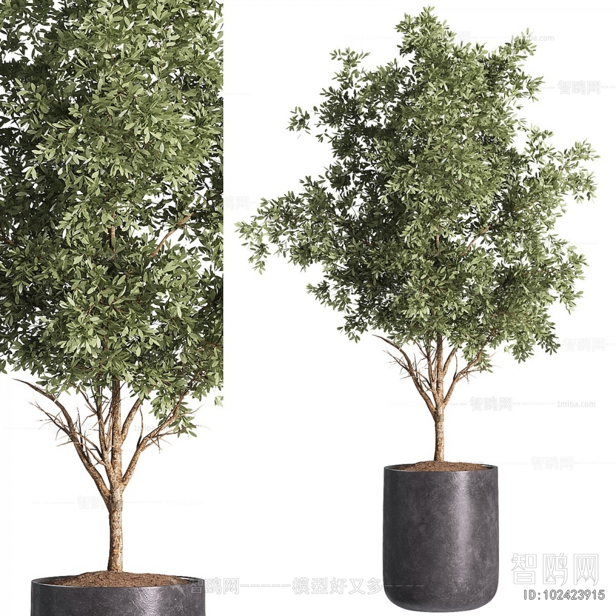 Modern Ground Green Plant Potted Plants