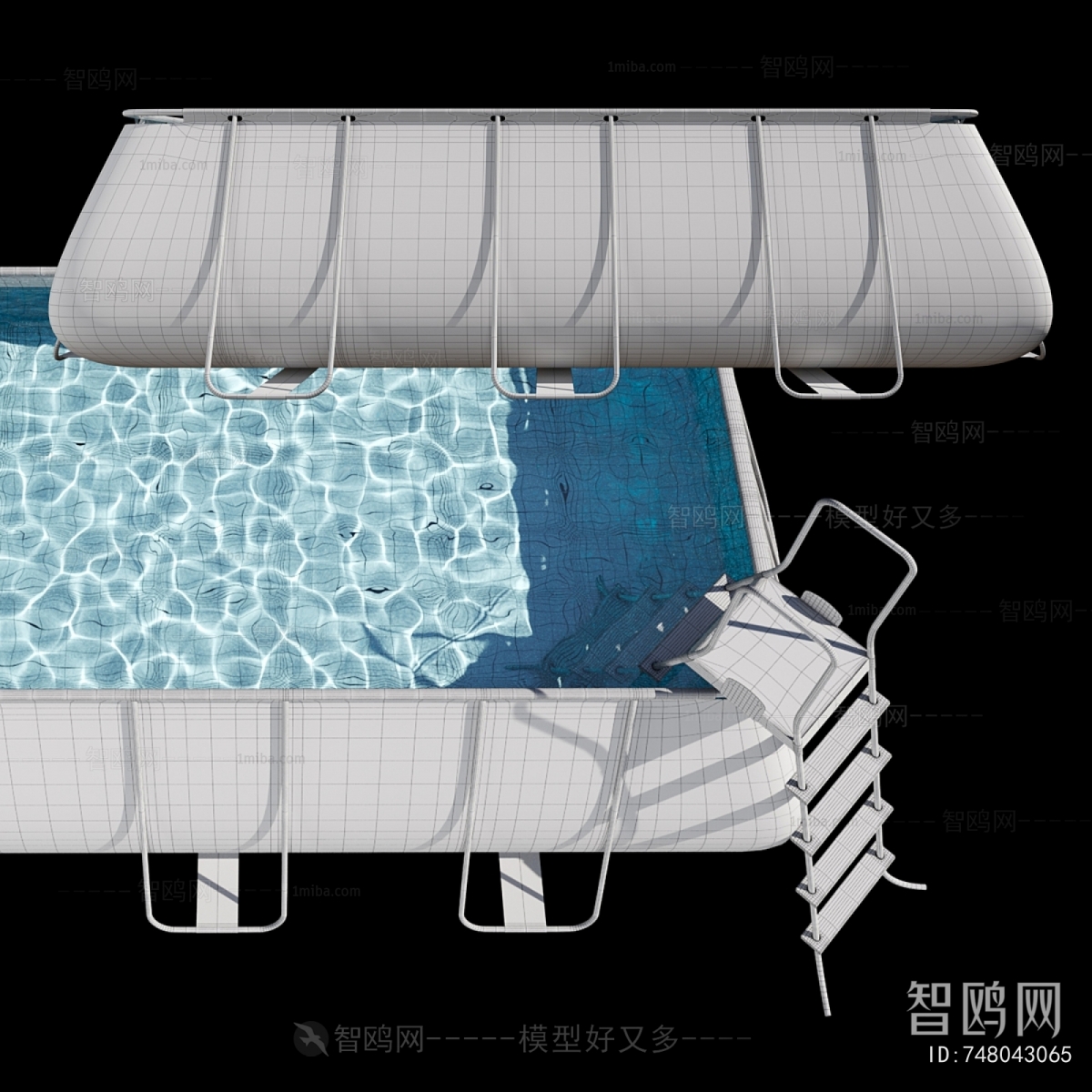 Modern Swimming Pool