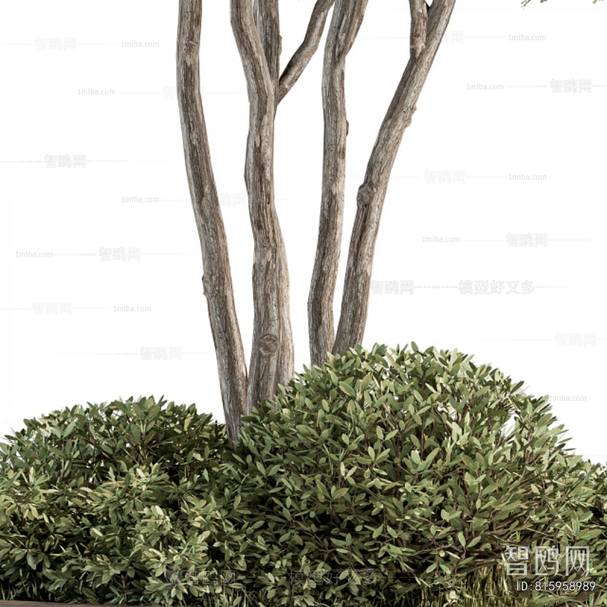 Modern Potted Green Plant