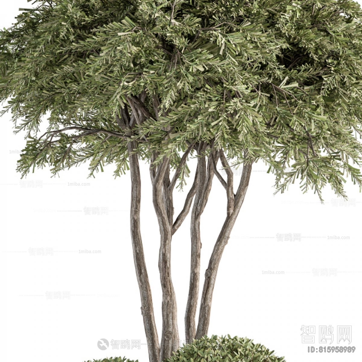 Modern Potted Green Plant