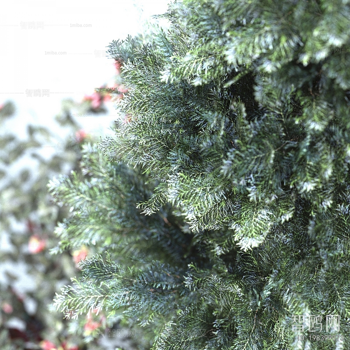 Modern Potted Green Plant