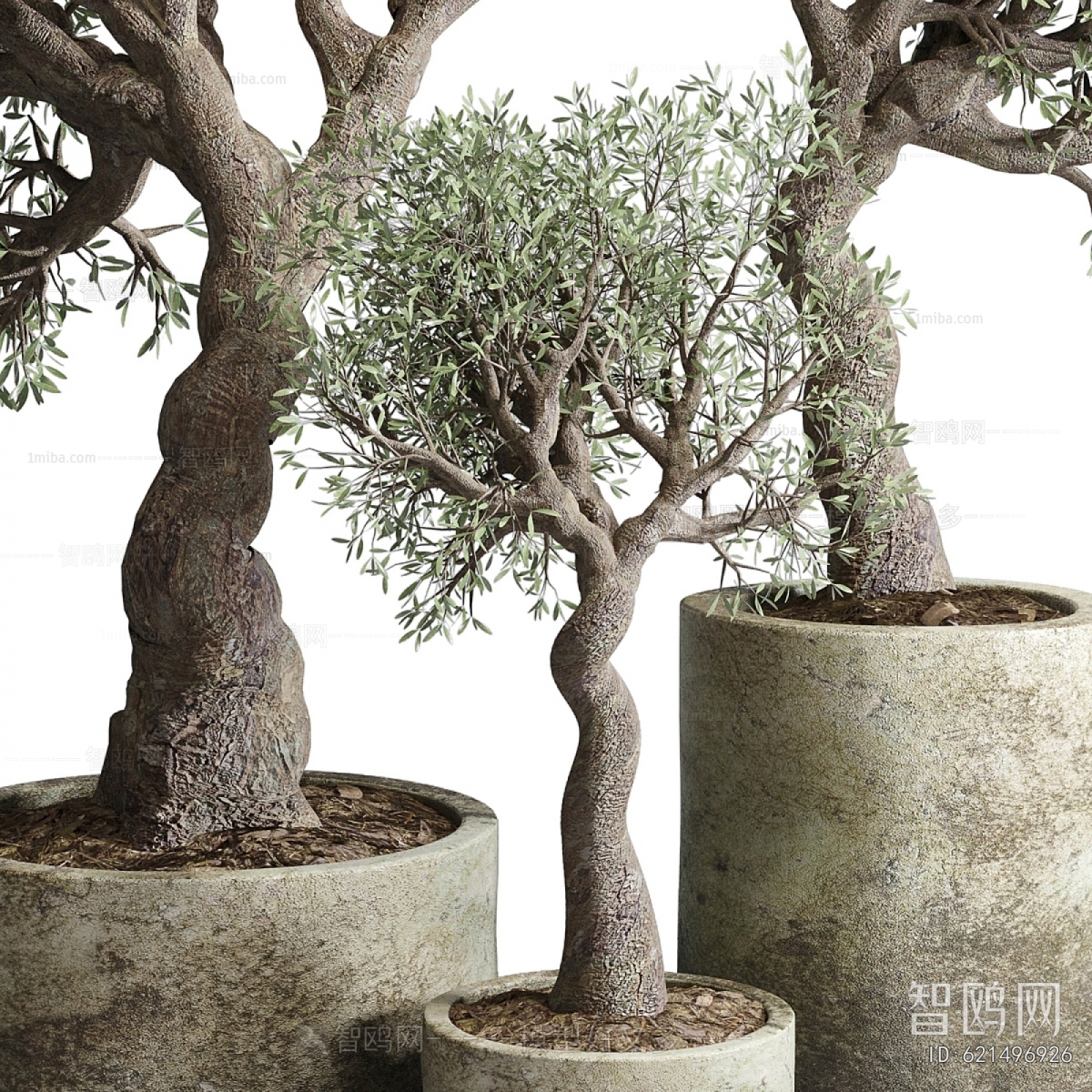 Modern Ground Green Plant Potted Plants