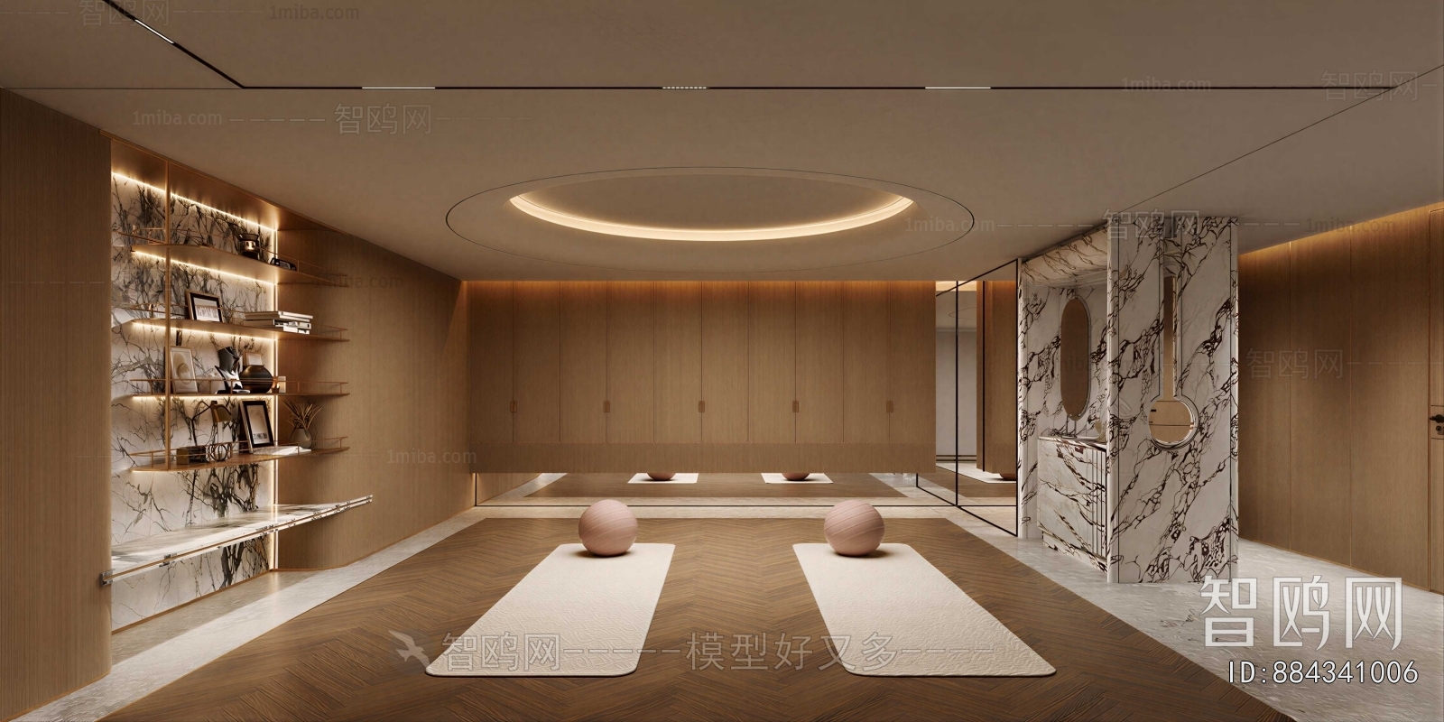 Modern Home Fitness Room