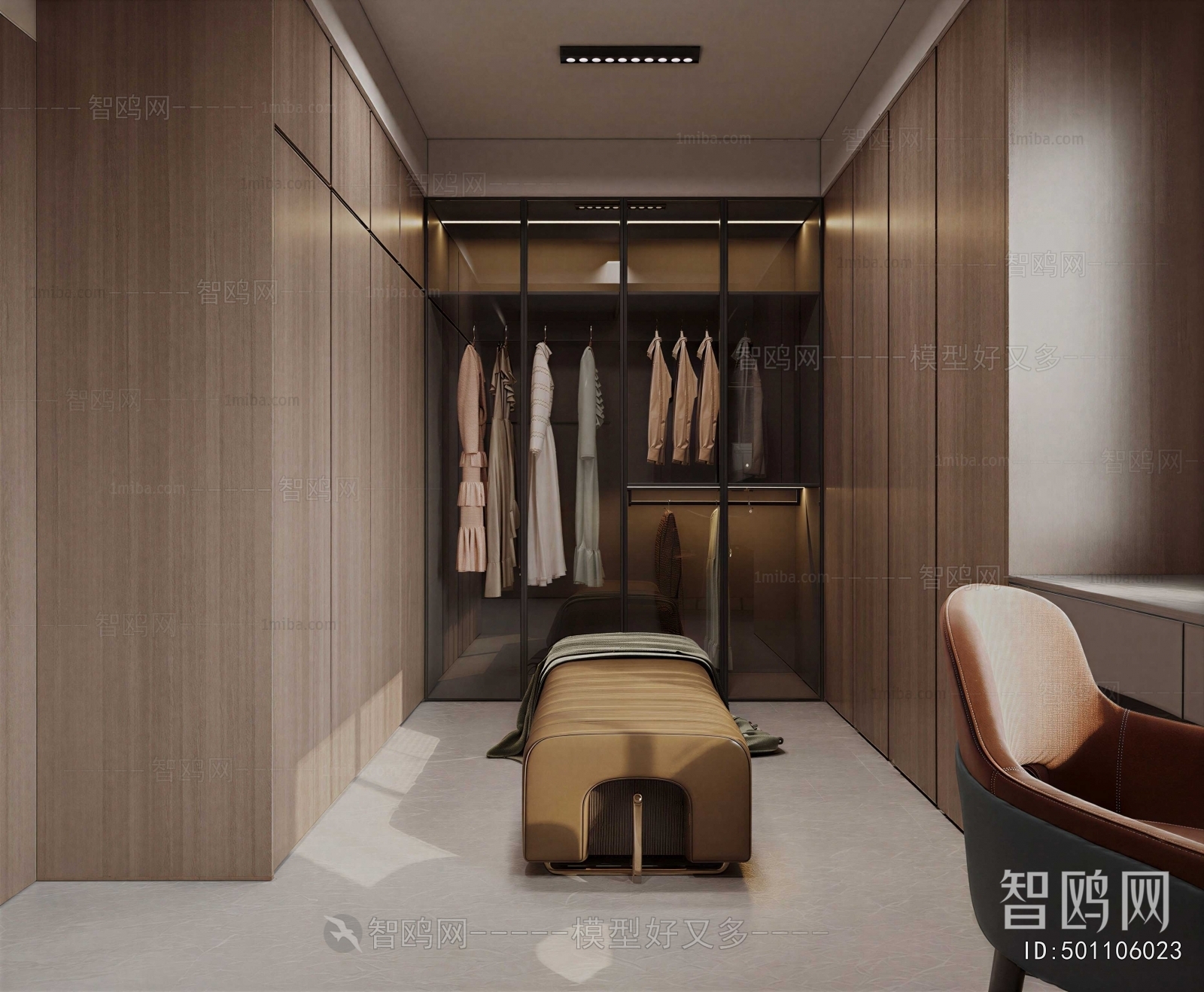 Modern Clothes Storage Area