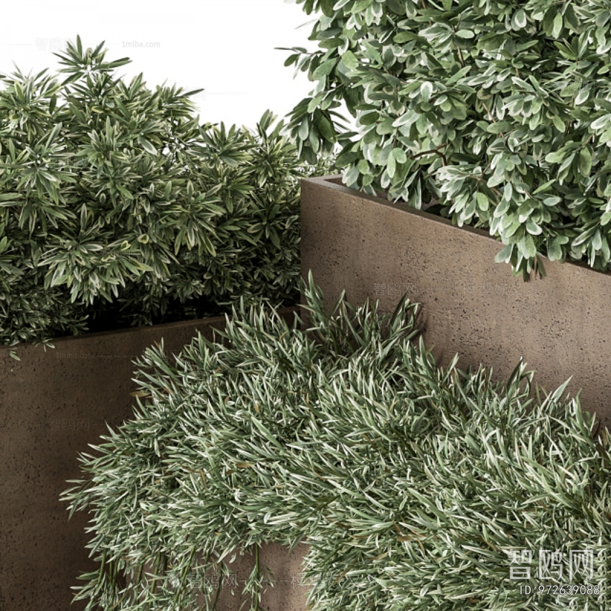 Modern Flower Bed, Flower Bowl, Flower Box