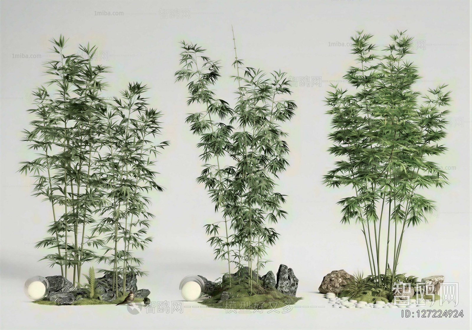 Modern Plant Landscaping