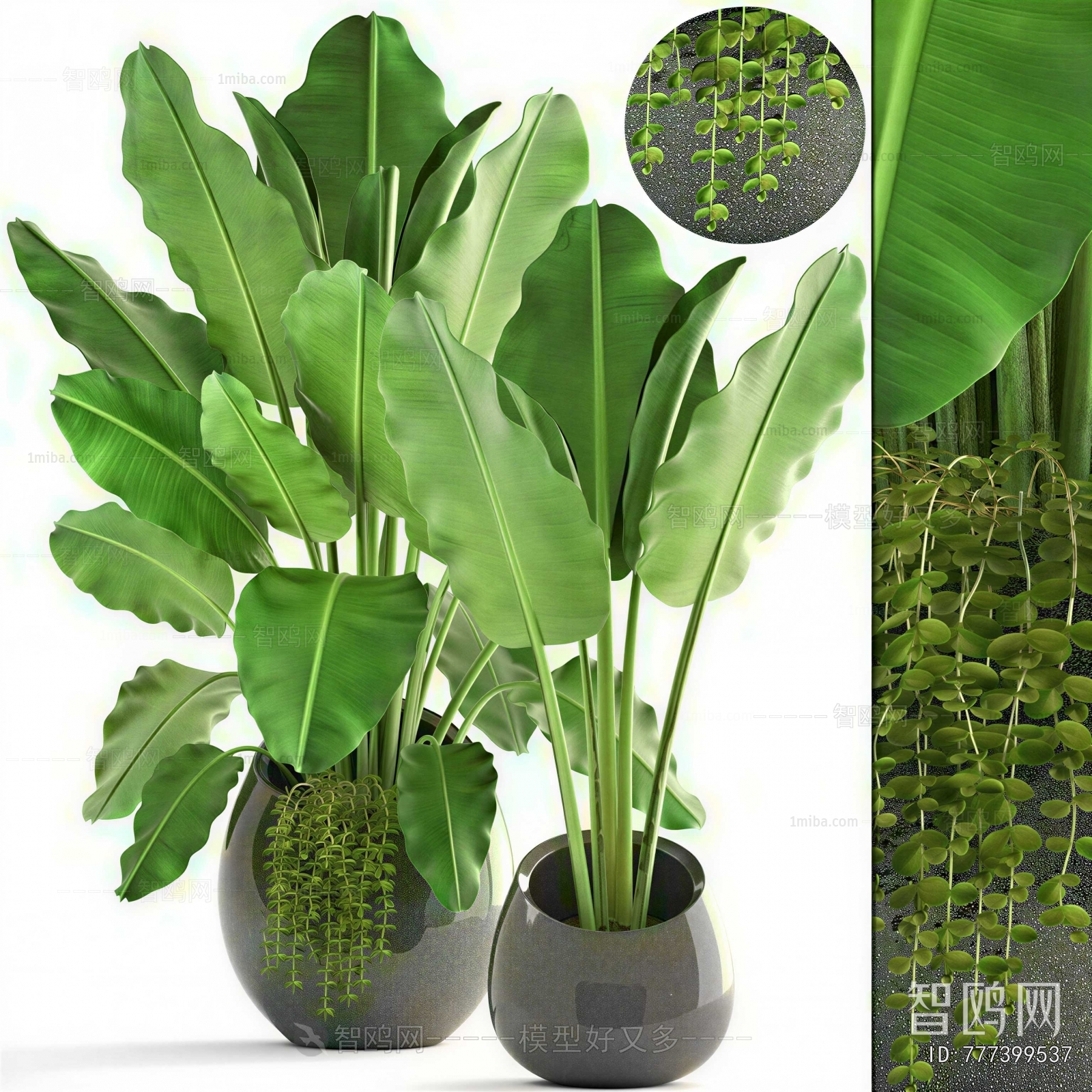 Modern Ground Green Plant Potted Plants