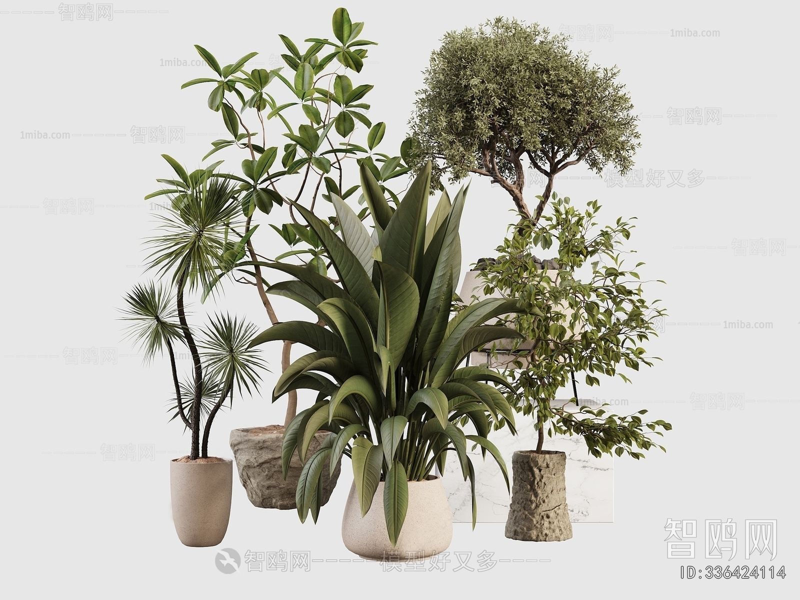 Modern Ground Green Plant Potted Plants