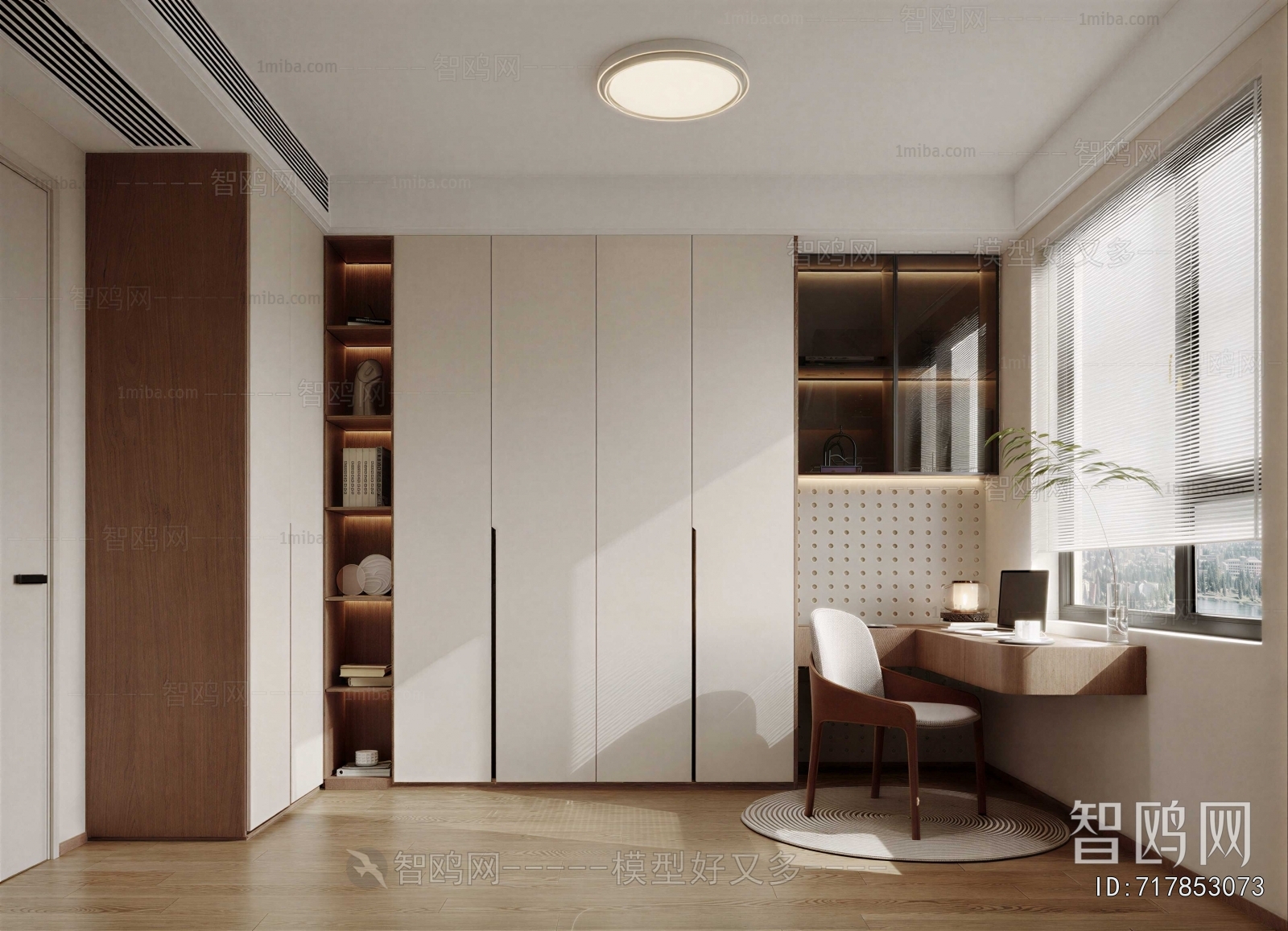 Modern Clothes Storage Area