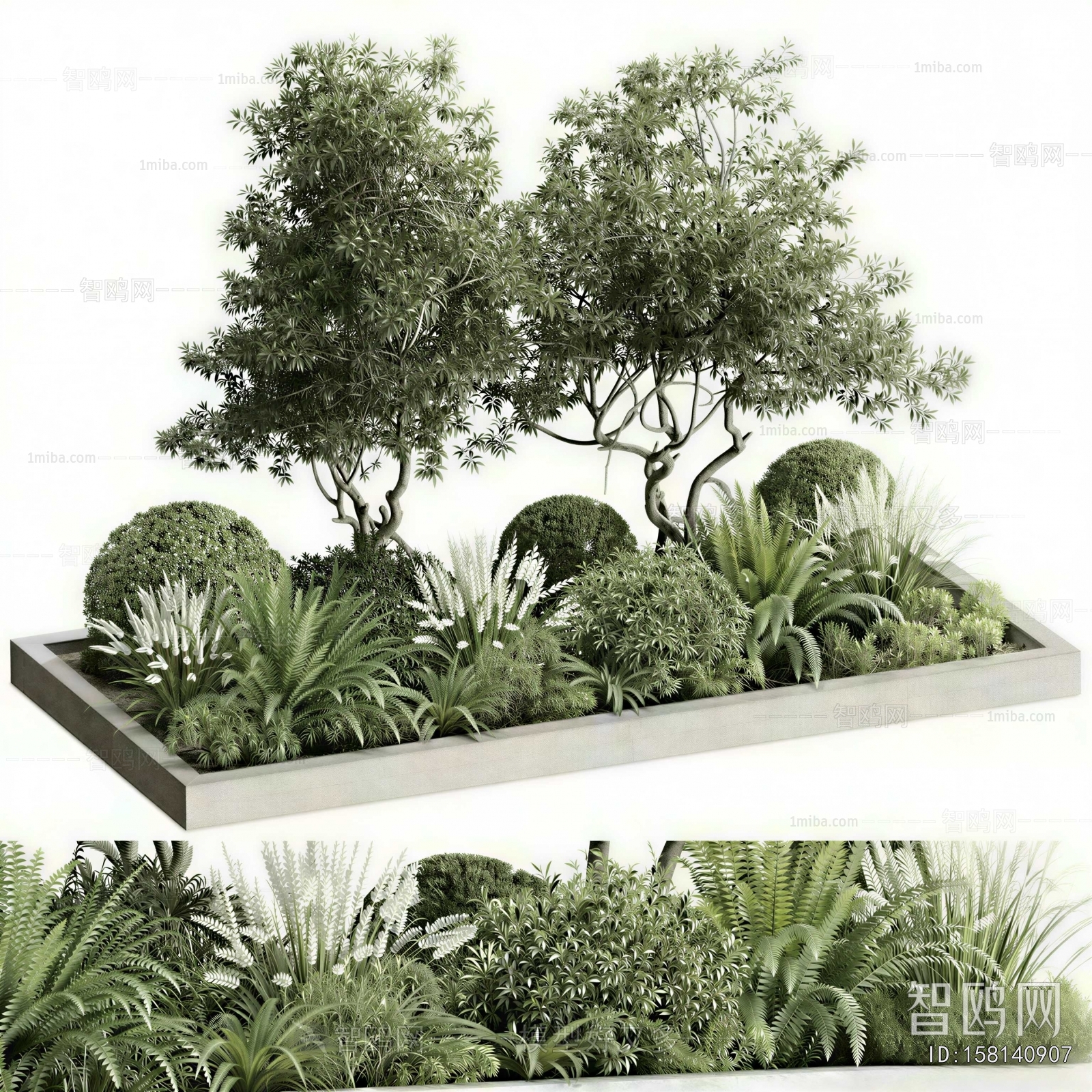 Modern Plant Landscaping