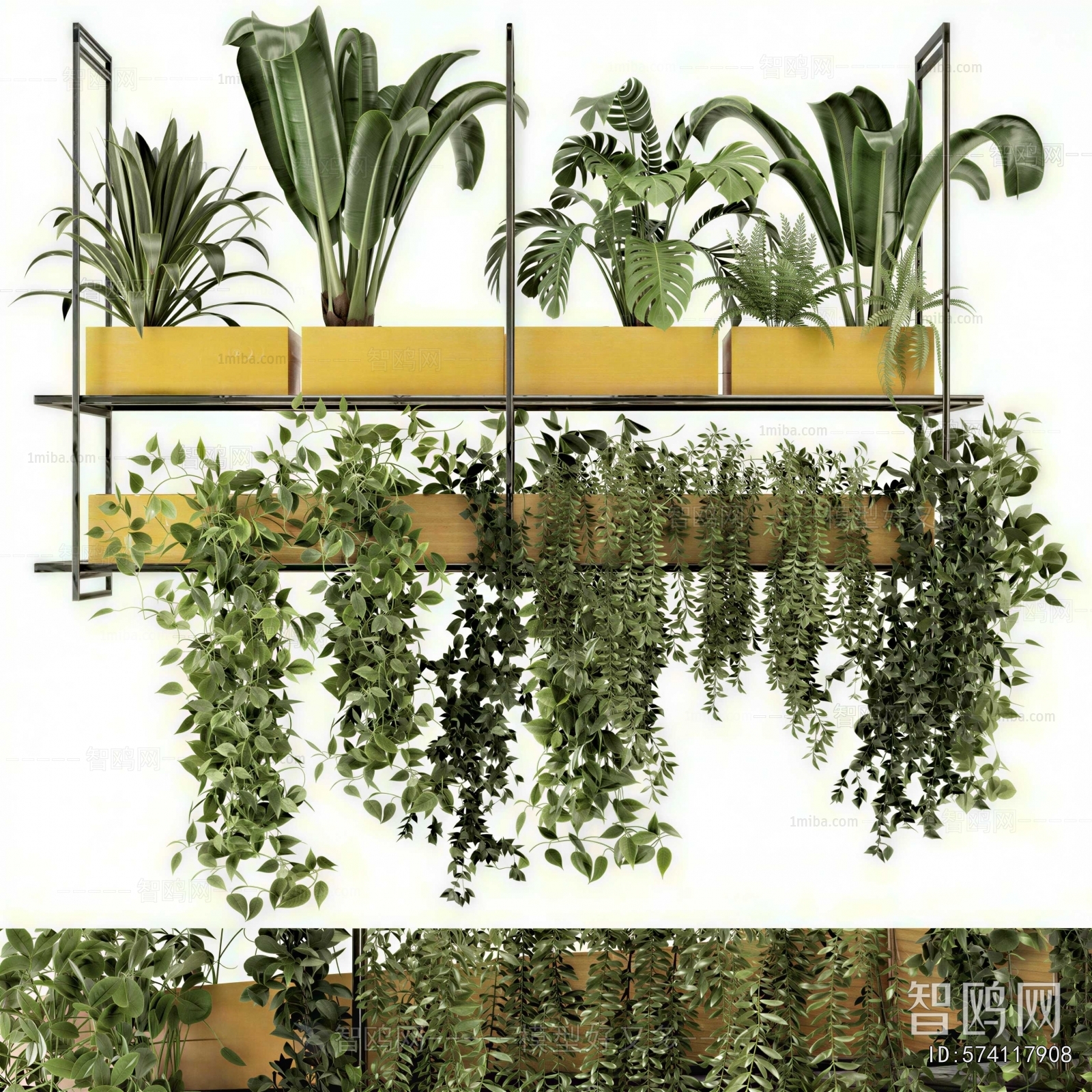 Modern Potted Green Plant