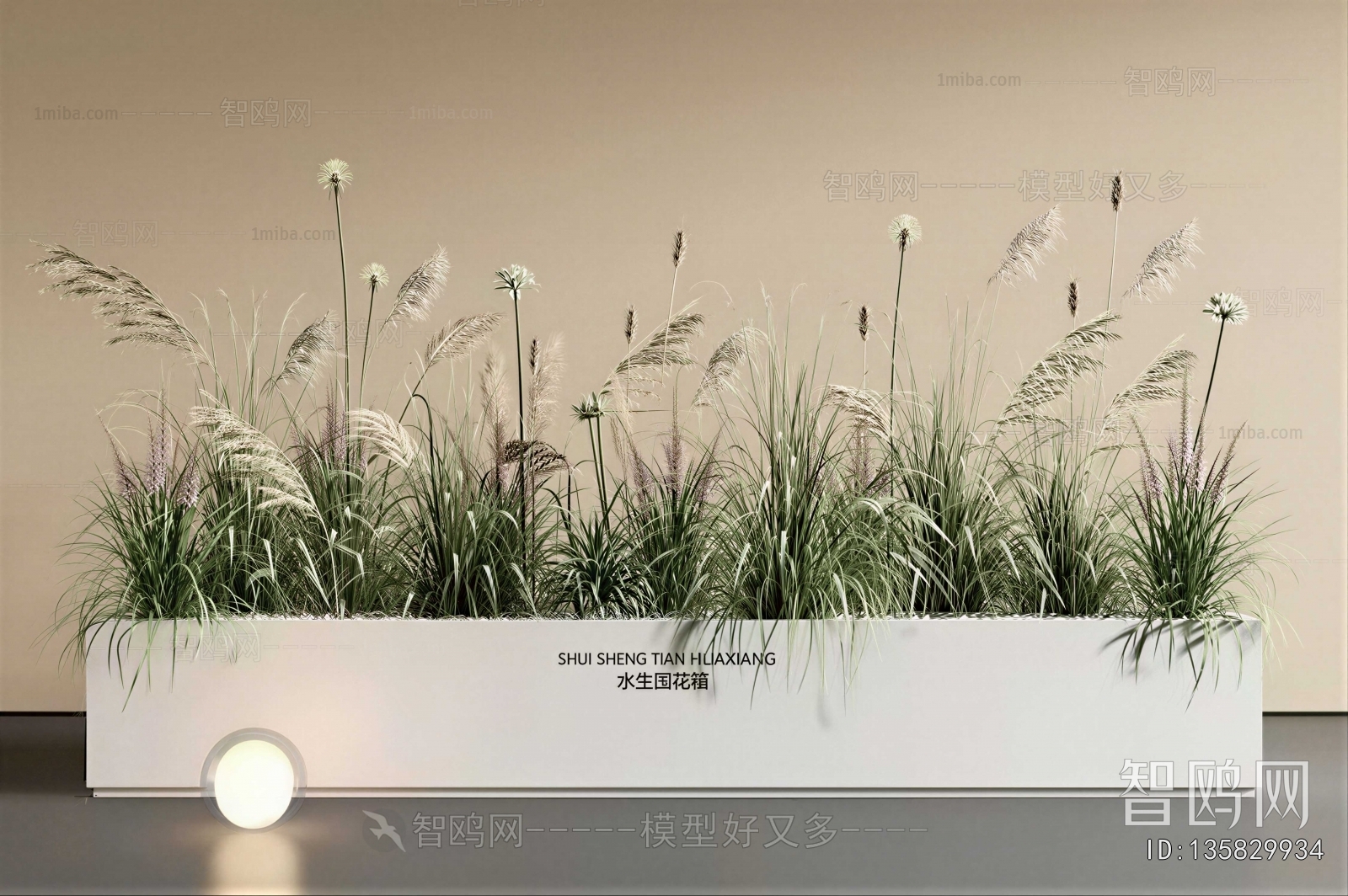 Modern Flower Bed, Flower Bowl, Flower Box