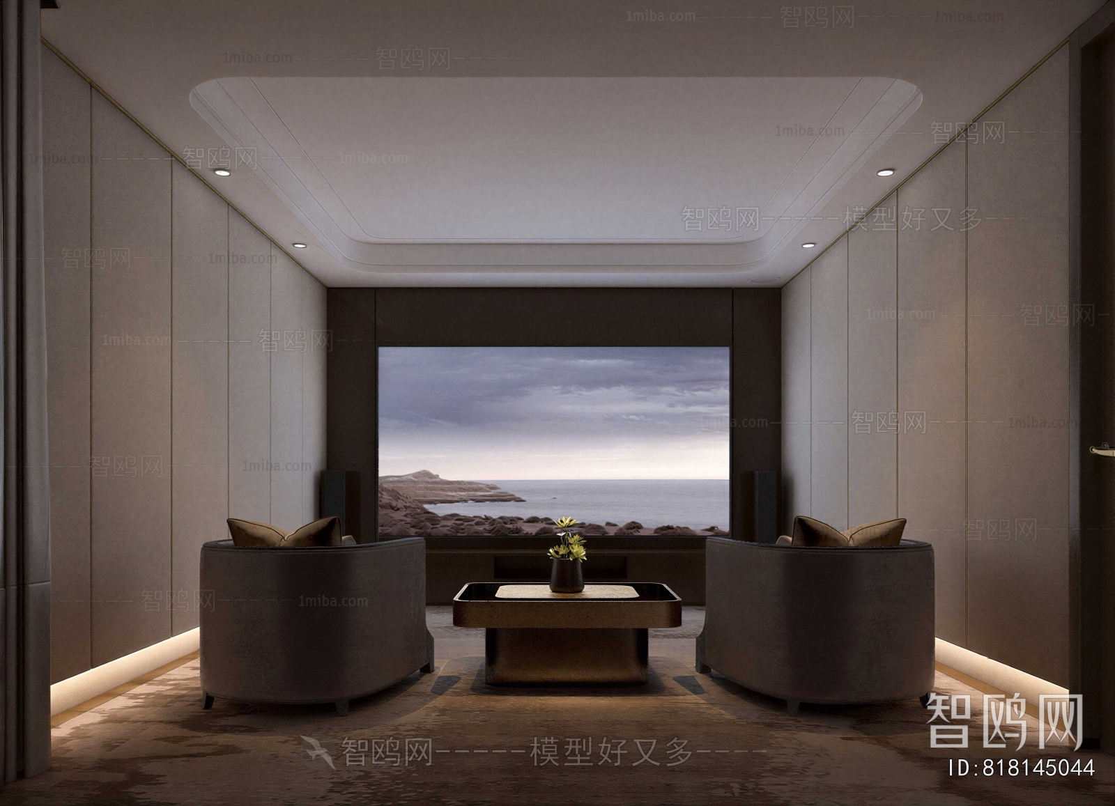 Modern Audiovisual Room