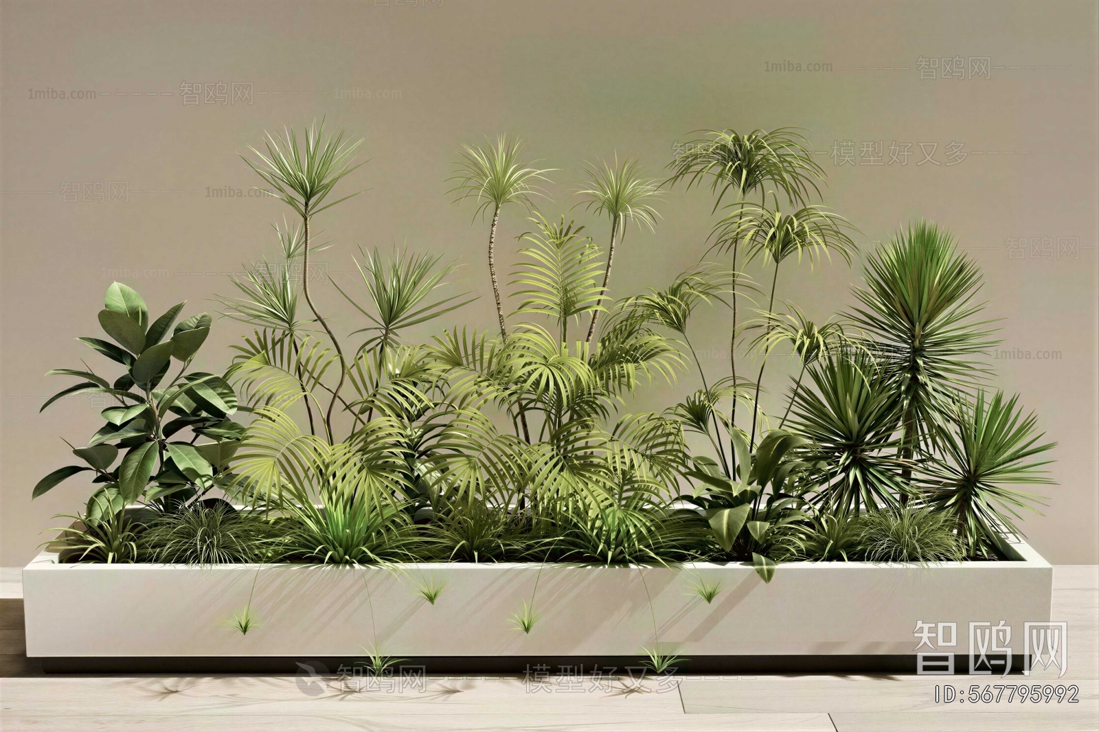 Modern Plant Landscaping