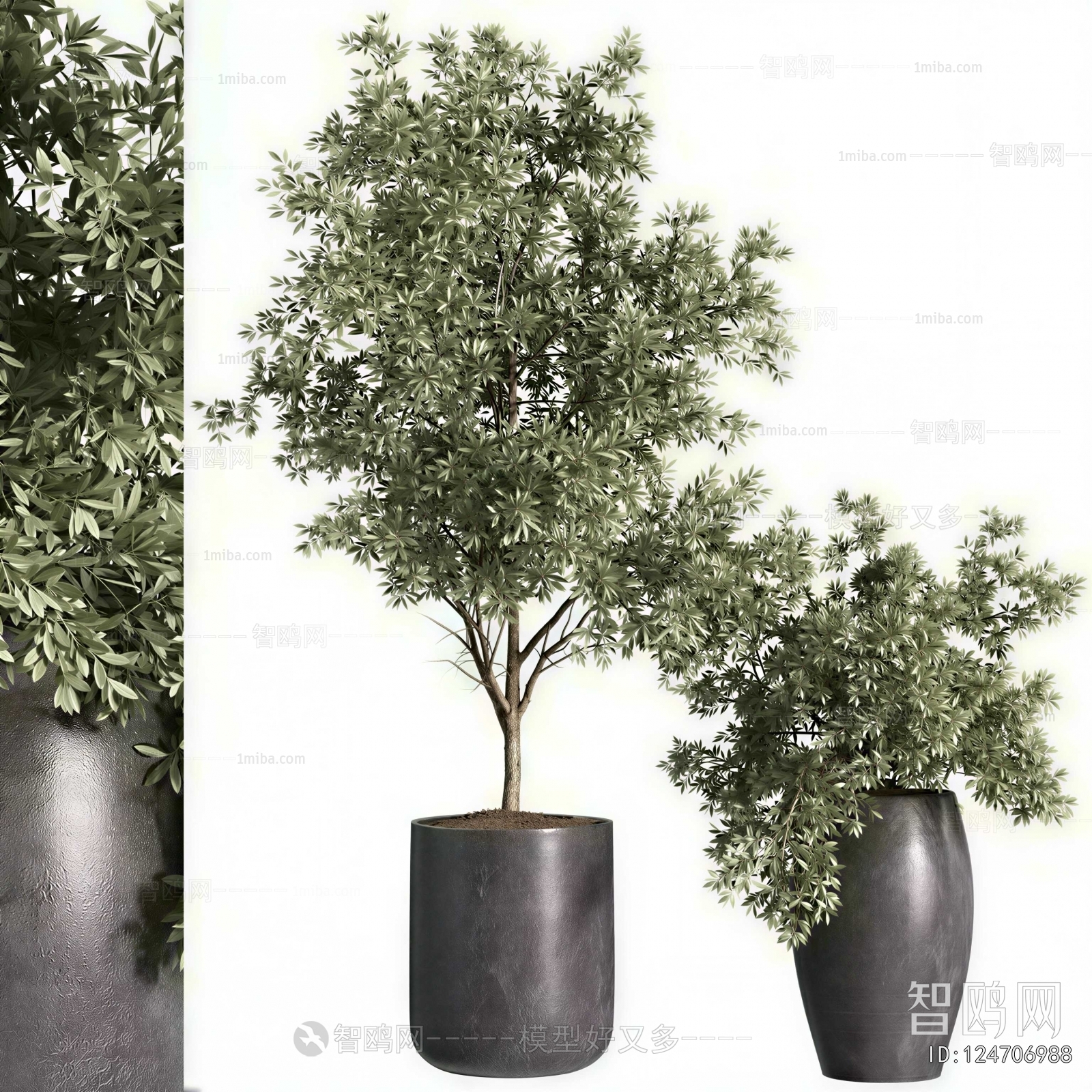 Modern Ground Green Plant Potted Plants
