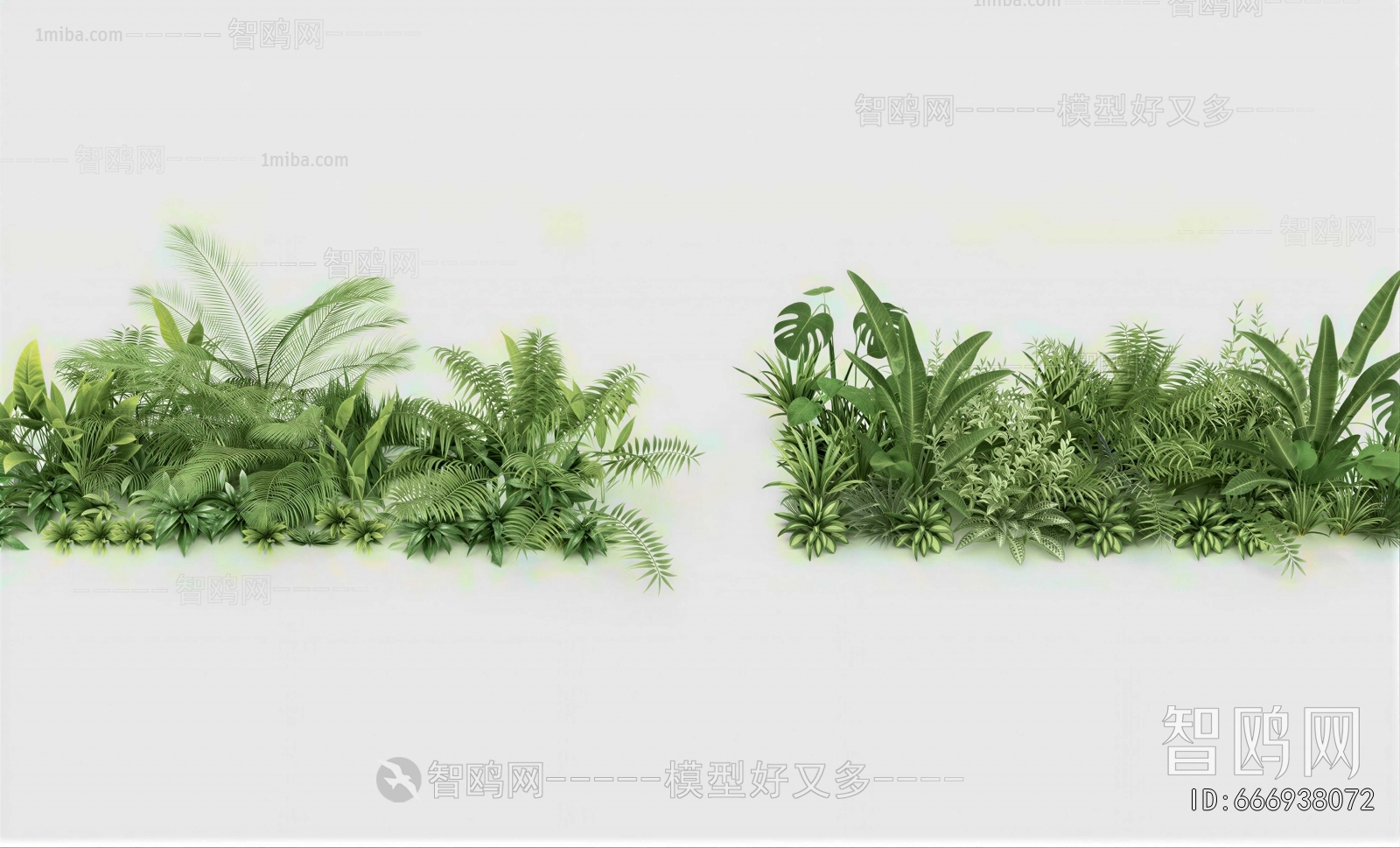 Modern Flowers And Grass