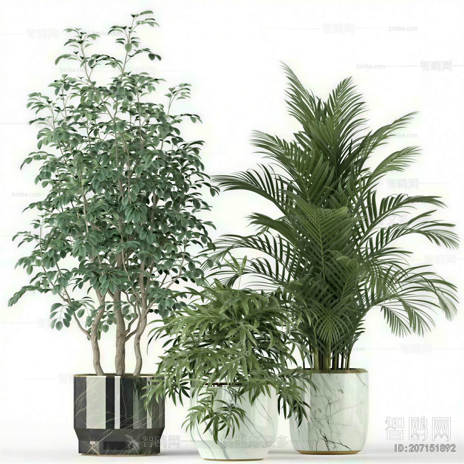 Modern Ground Green Plant Potted Plants