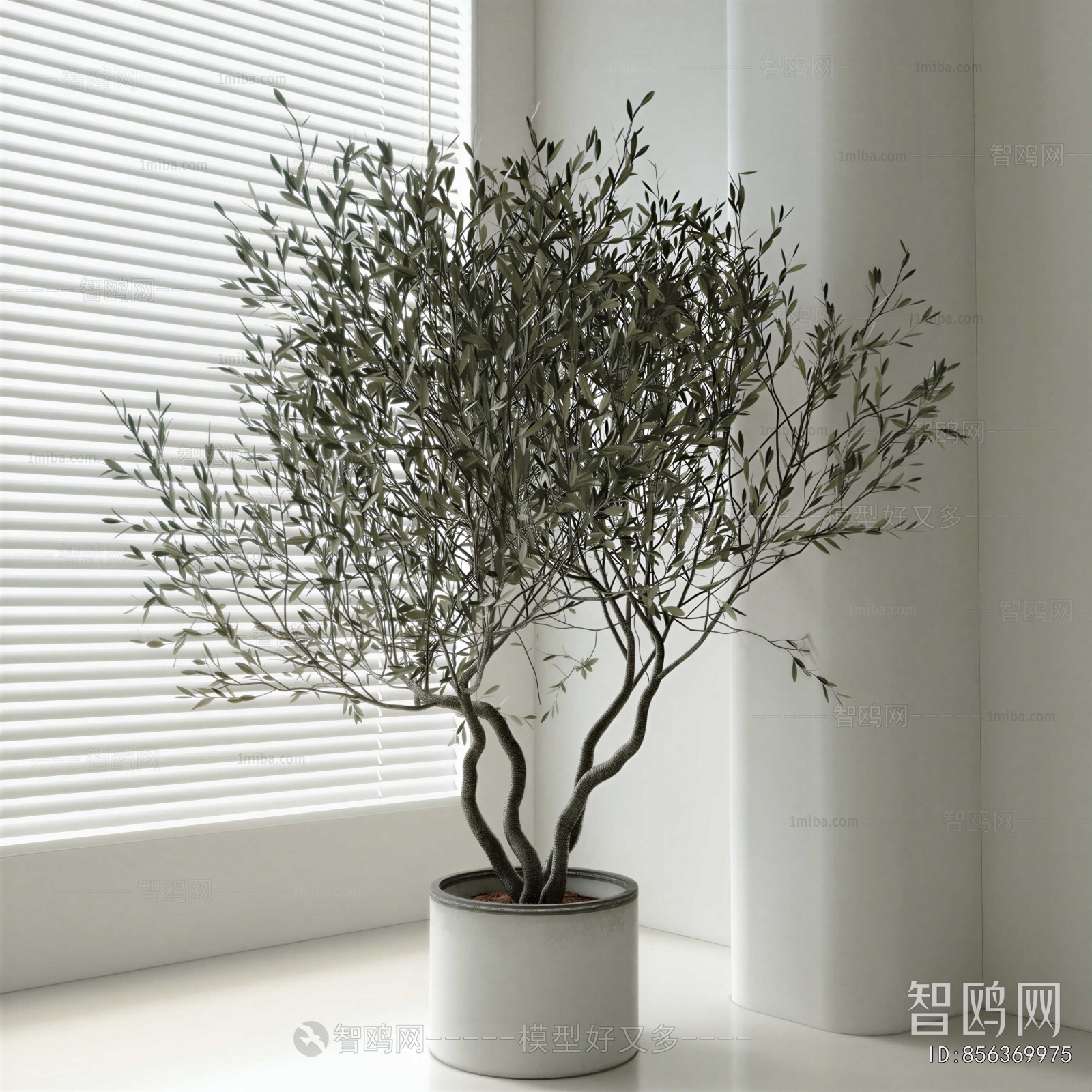 Modern Ground Green Plant Potted Plants