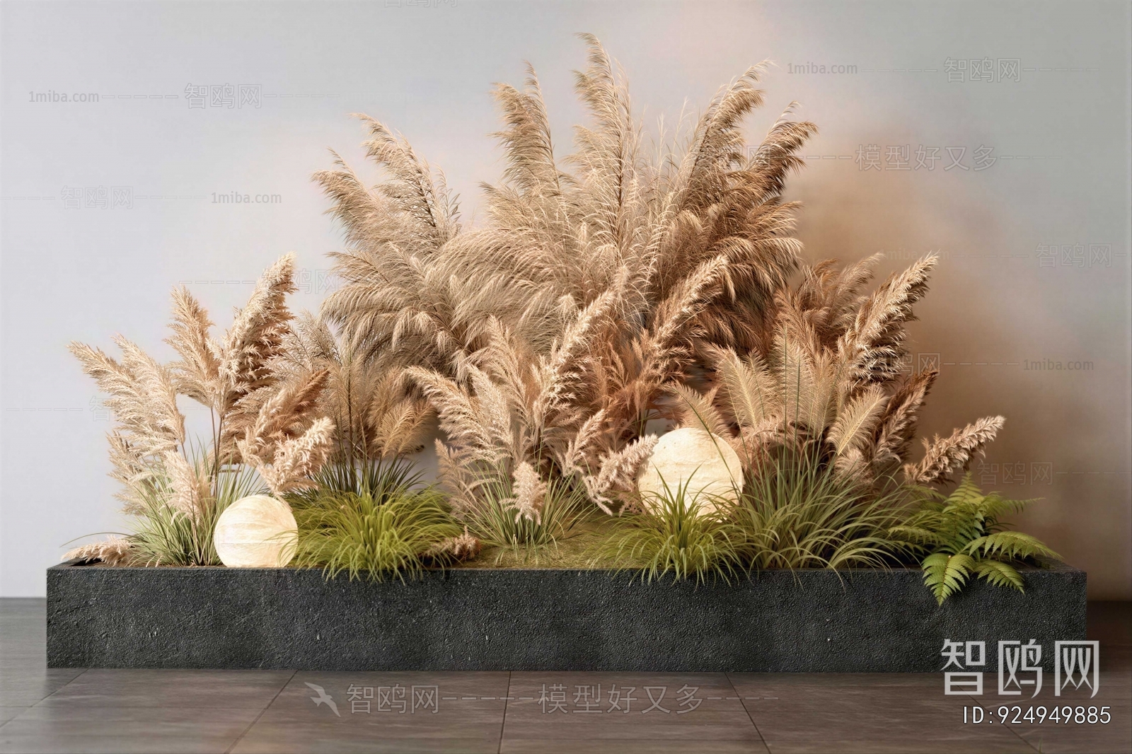 Modern Plant Landscaping