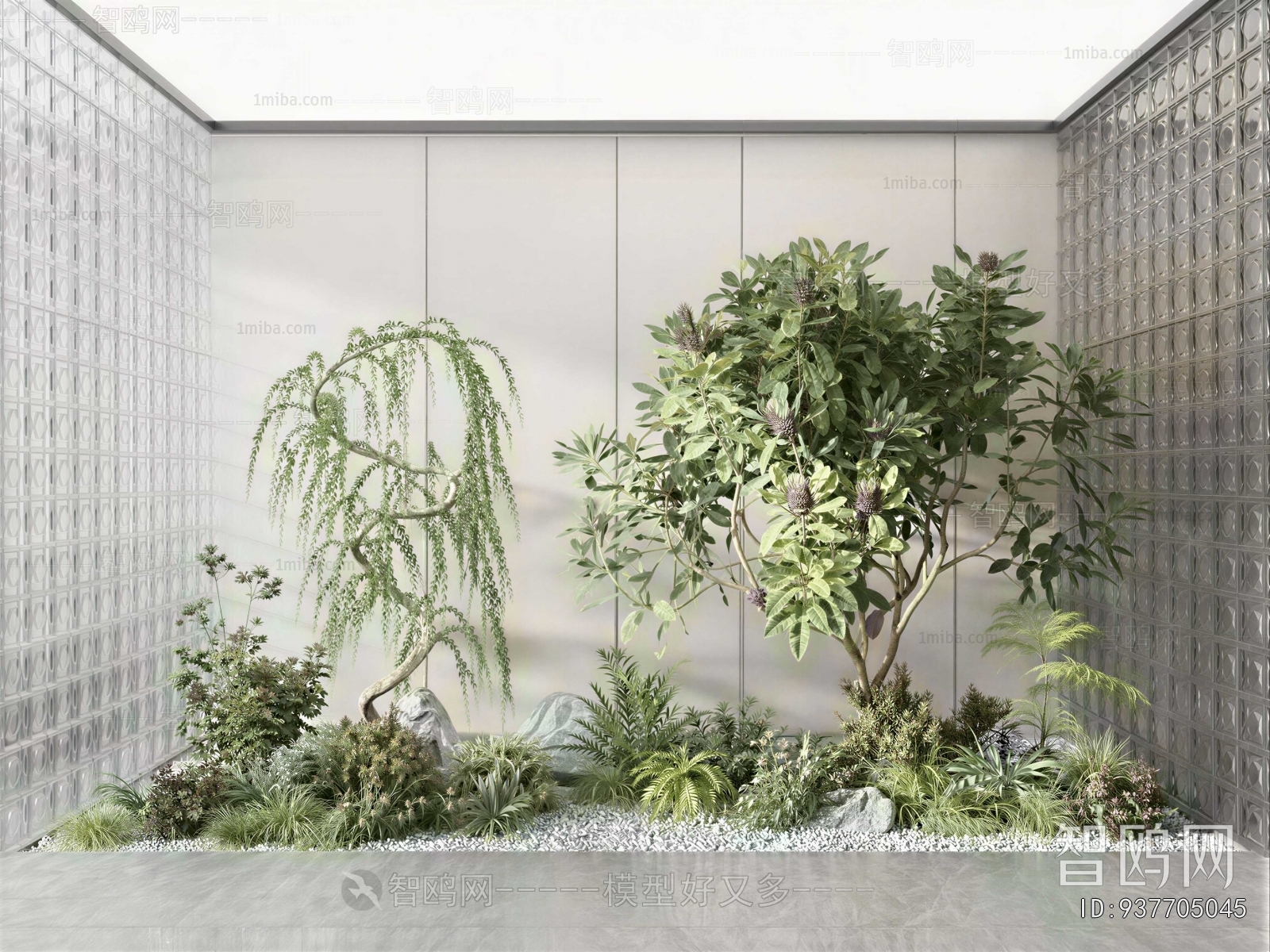 Modern Plant Landscaping