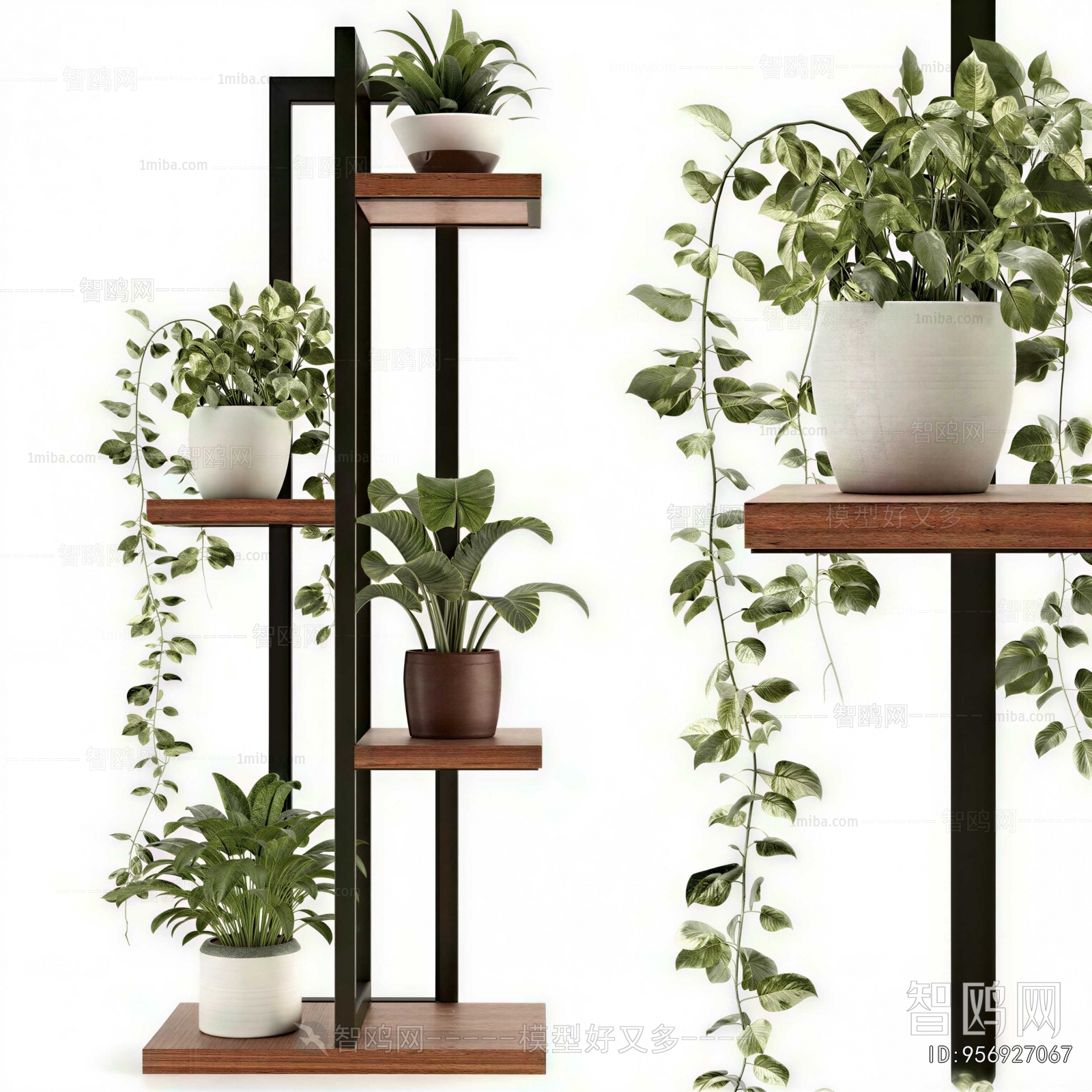 Modern Potted Green Plant
