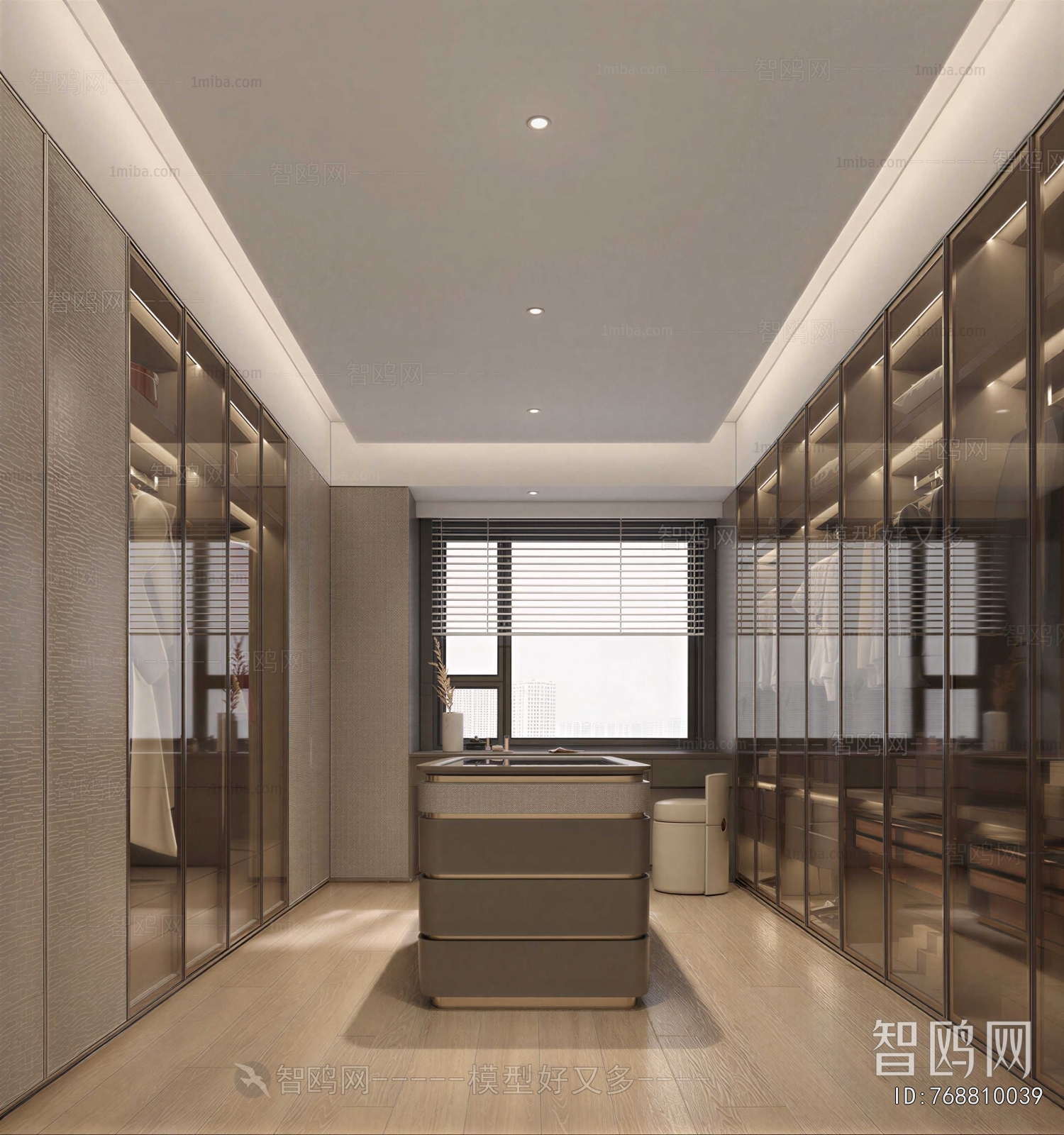 Modern Clothes Storage Area