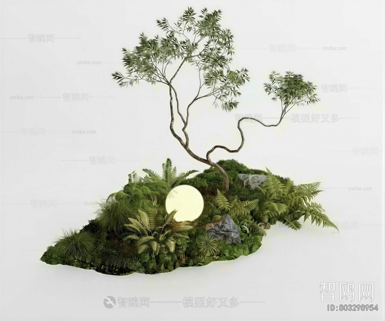 Modern Plant Landscaping