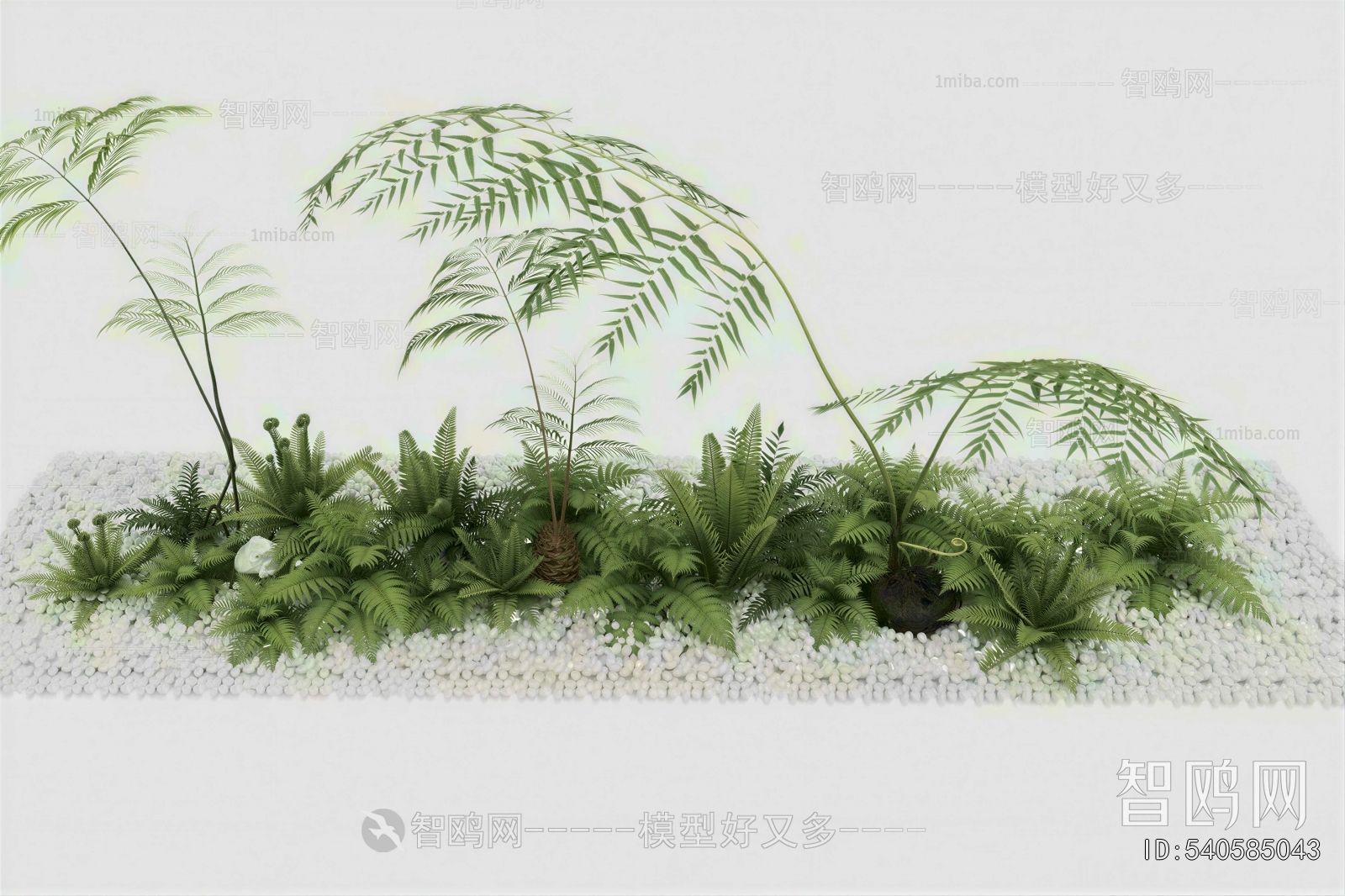 Modern Plant Landscaping