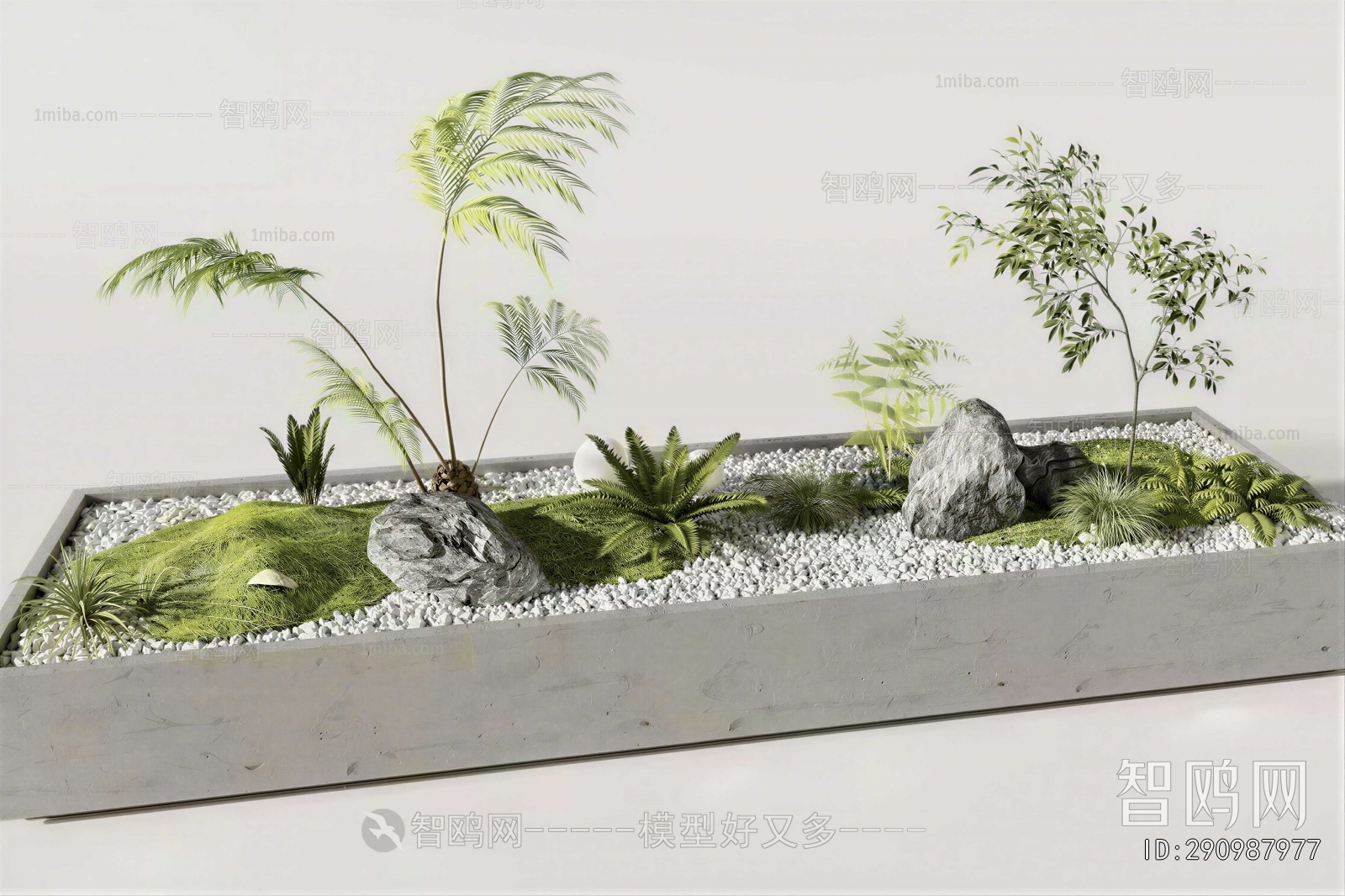 Modern Plant Landscaping