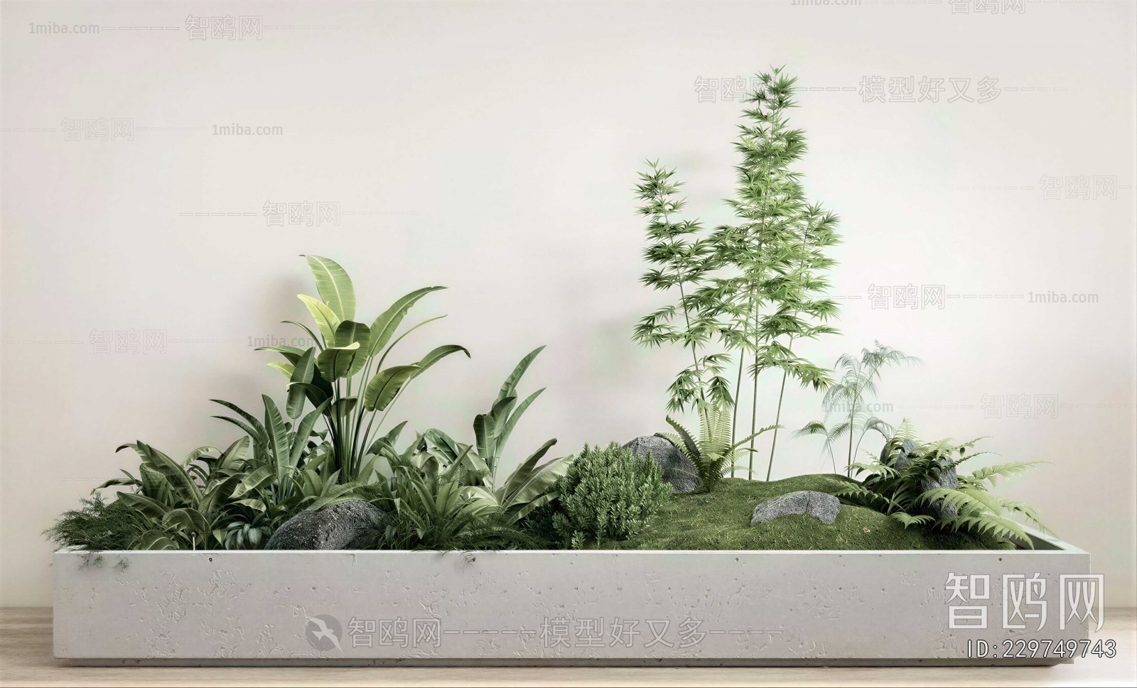 Modern Plant Landscaping