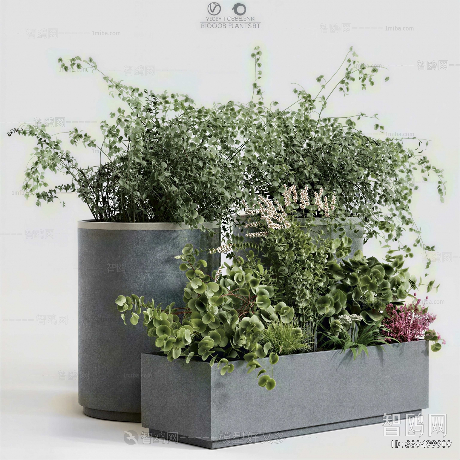 Modern Flower Bed, Flower Bowl, Flower Box