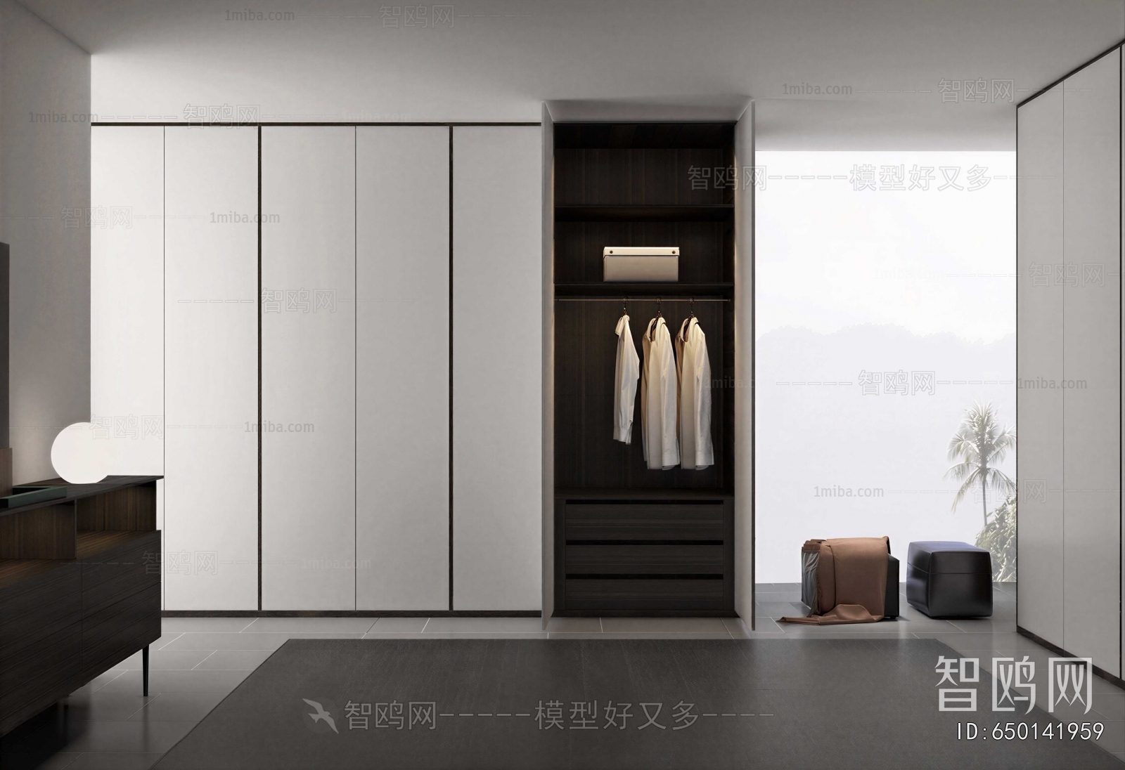 Modern Clothes Storage Area