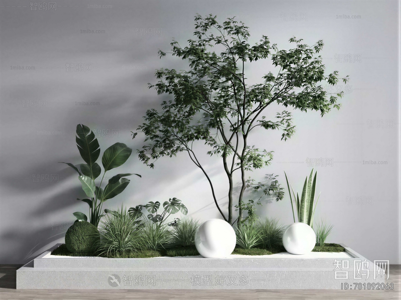 Modern Plant Landscaping