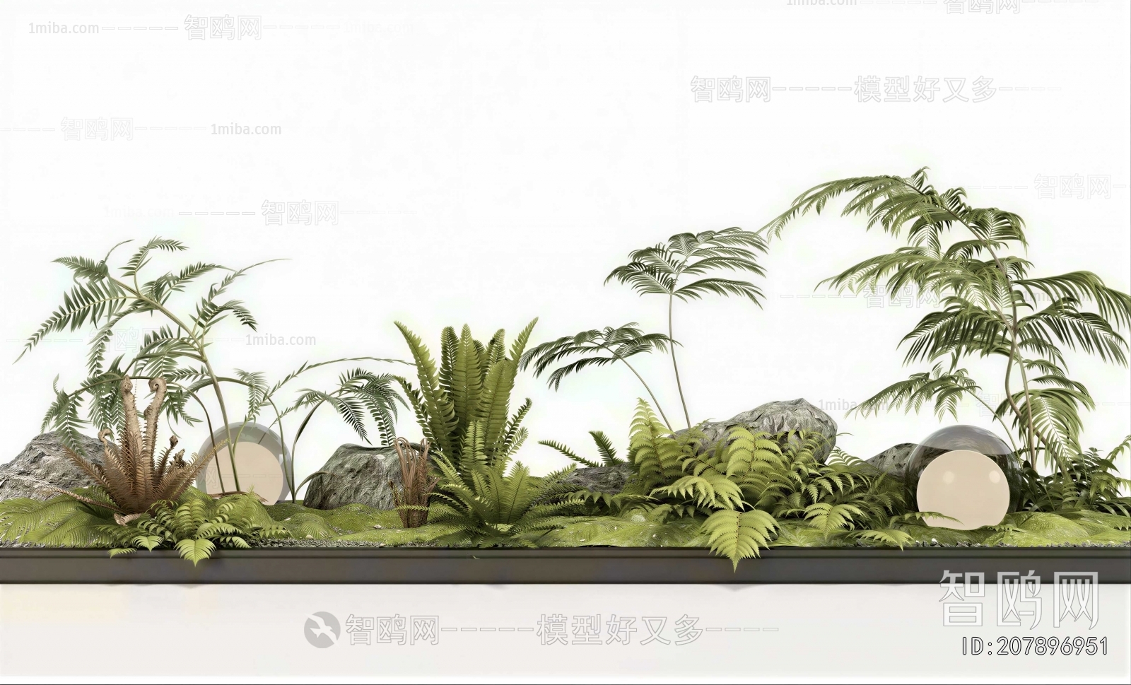 Modern Plant Landscaping