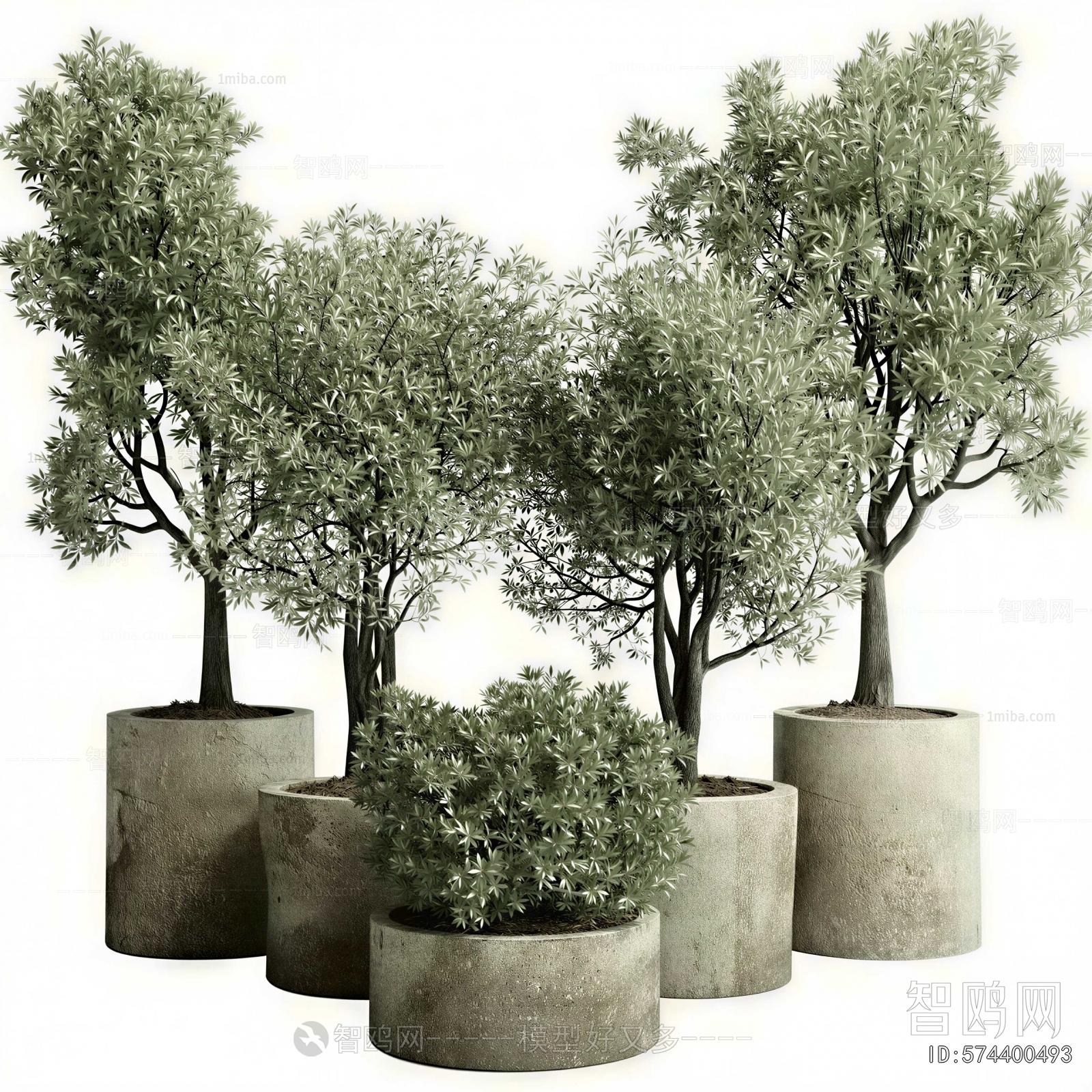 Modern Ground Green Plant Potted Plants