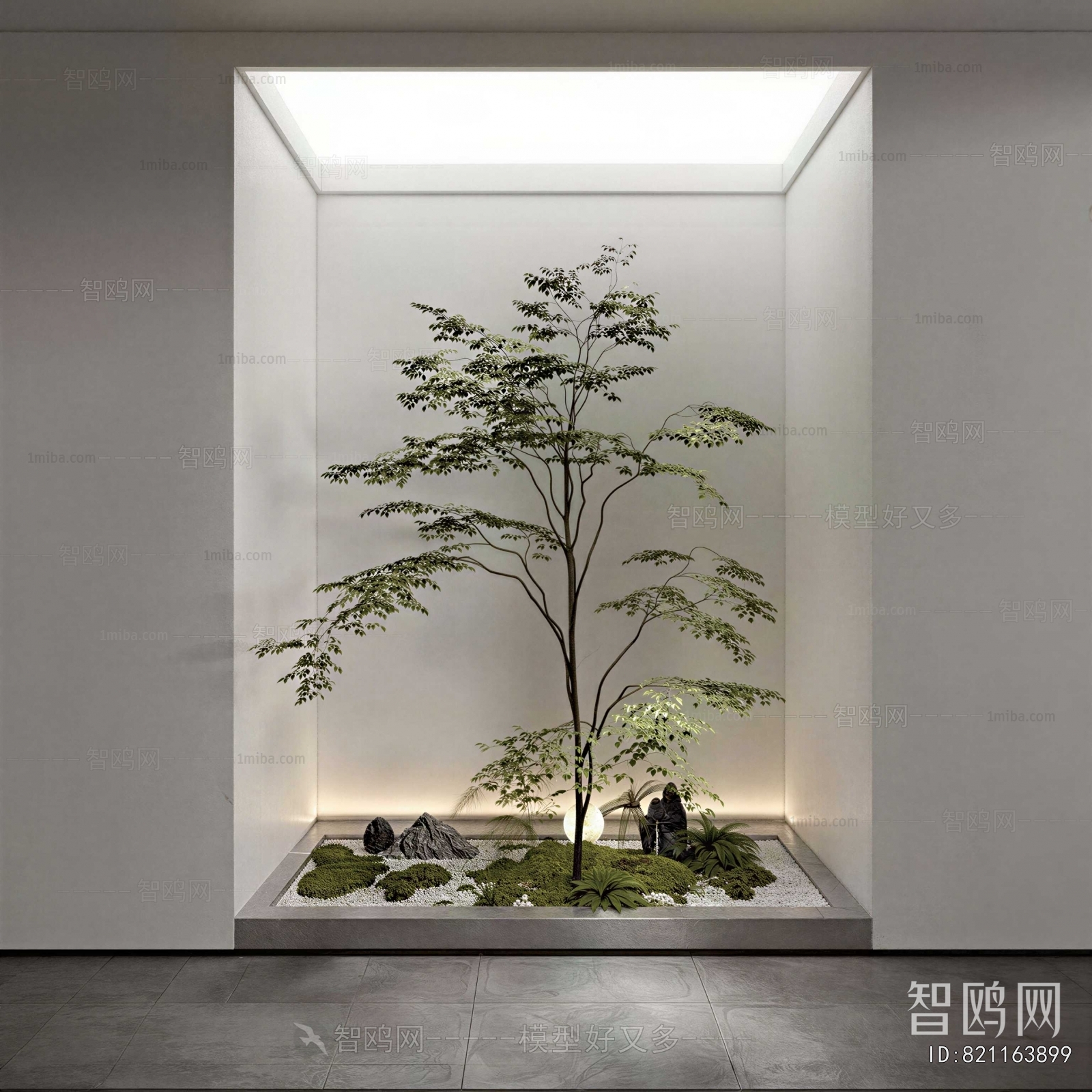 Modern Plant Landscaping