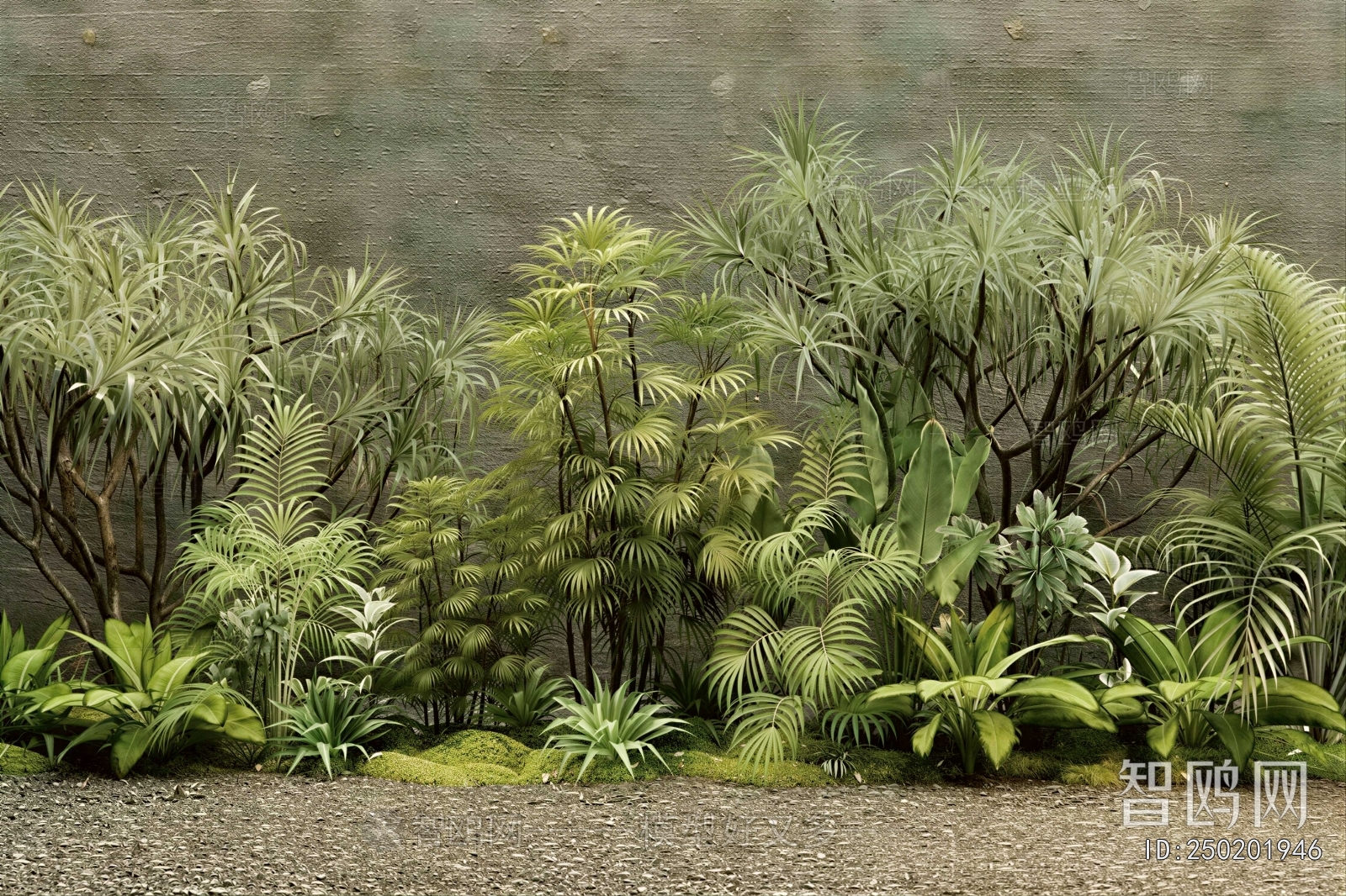 Modern Plant Landscaping