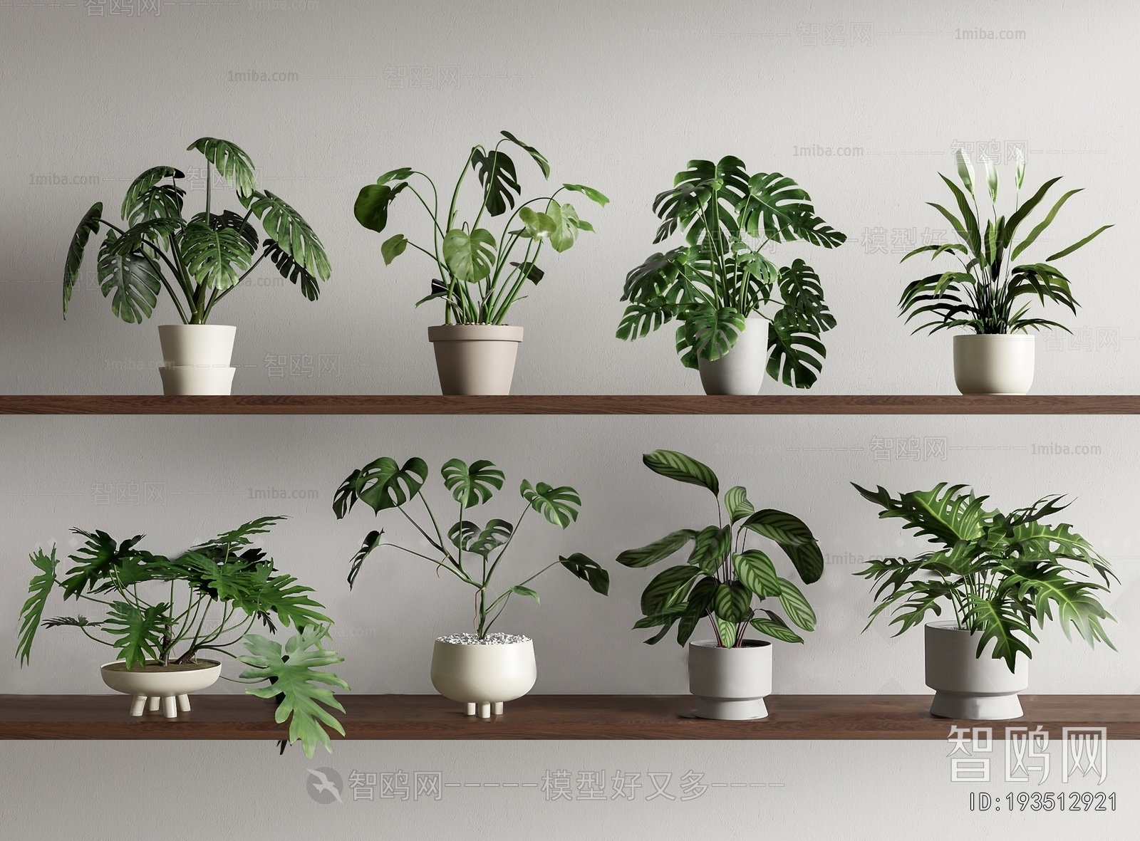 Modern Potted Green Plant